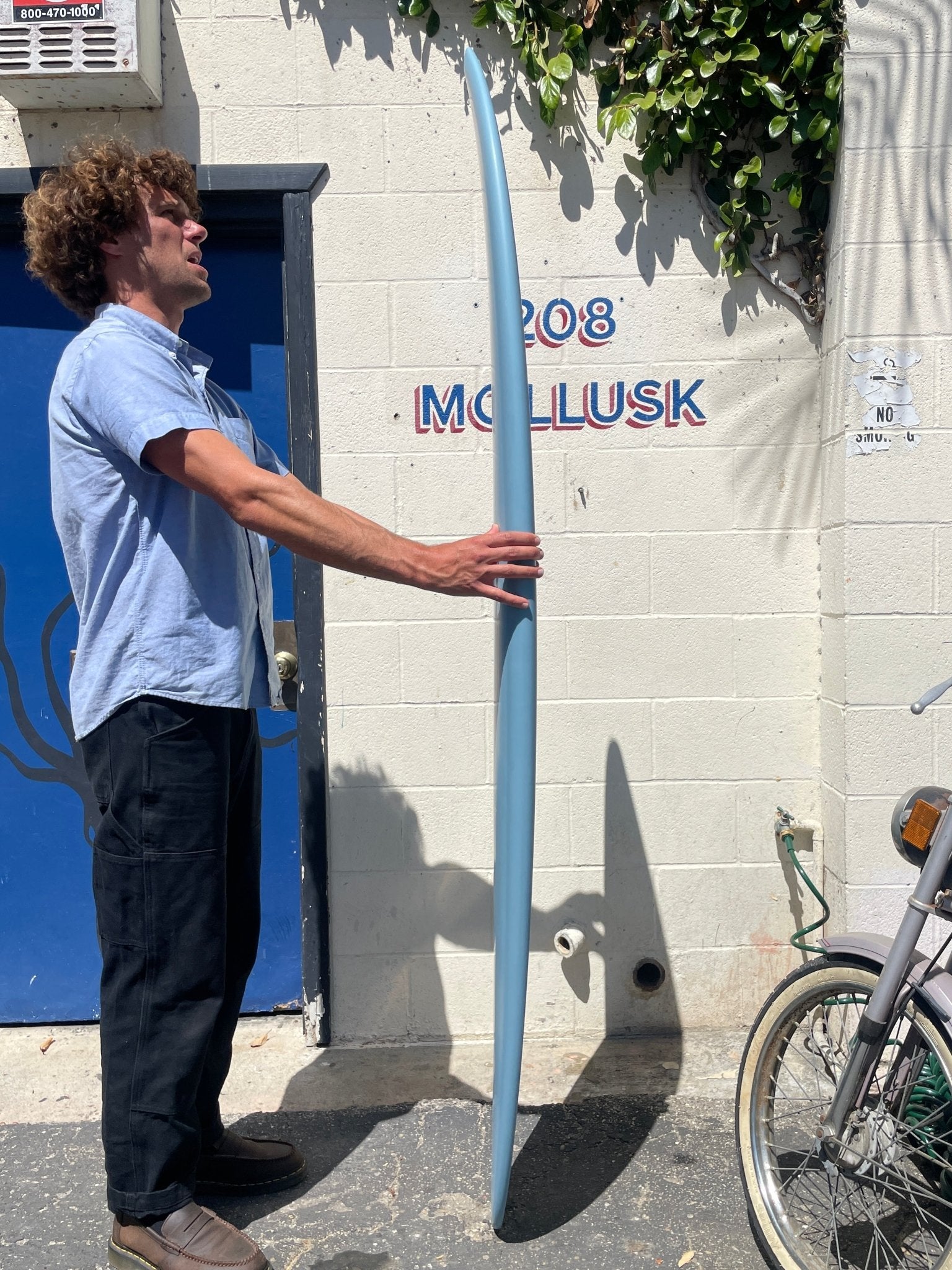 6'8 Tyler Warren Speed Egg Quad - Mollusk Surf Shop