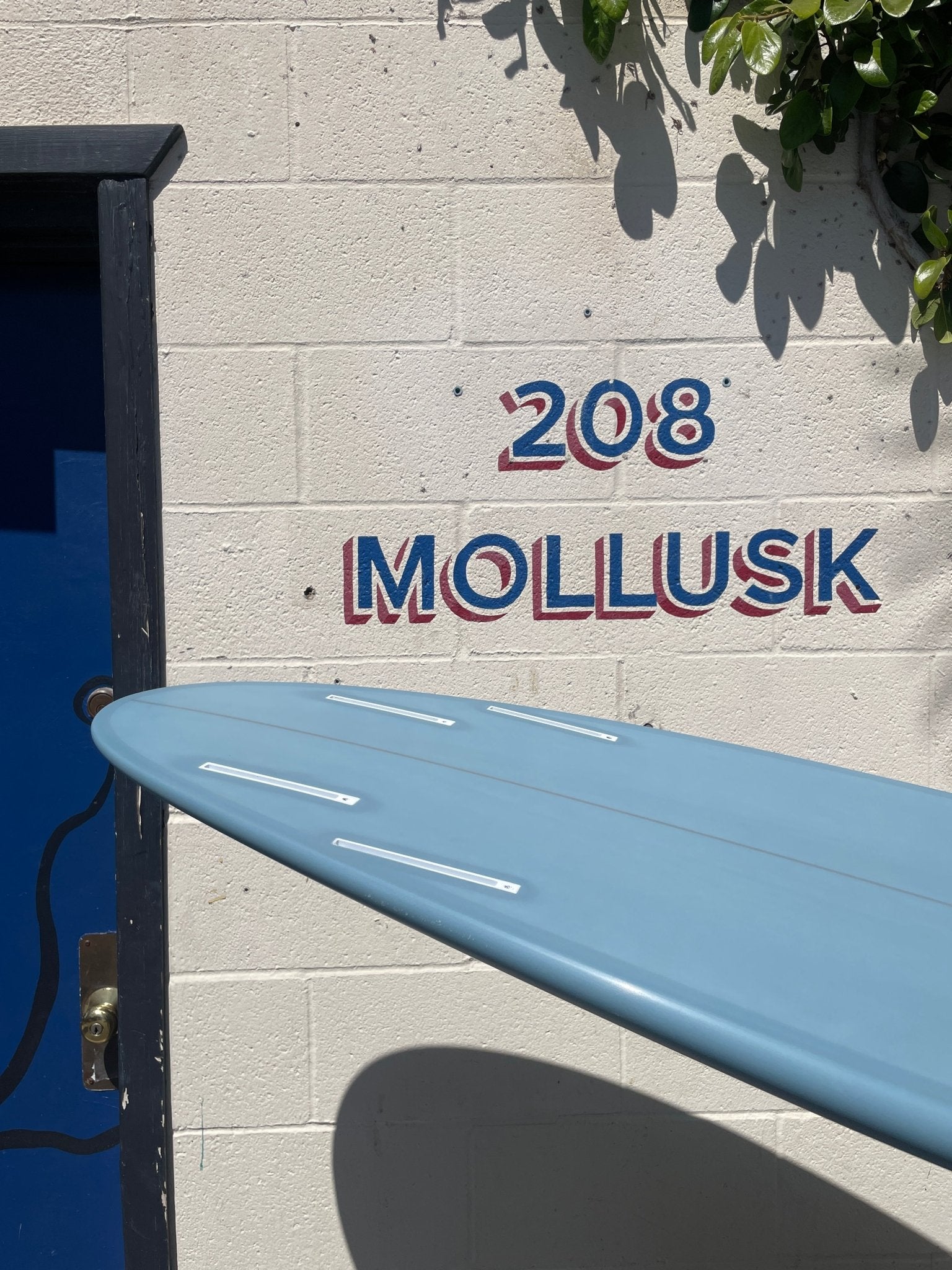 6'8 Tyler Warren Speed Egg Quad - Mollusk Surf Shop - description