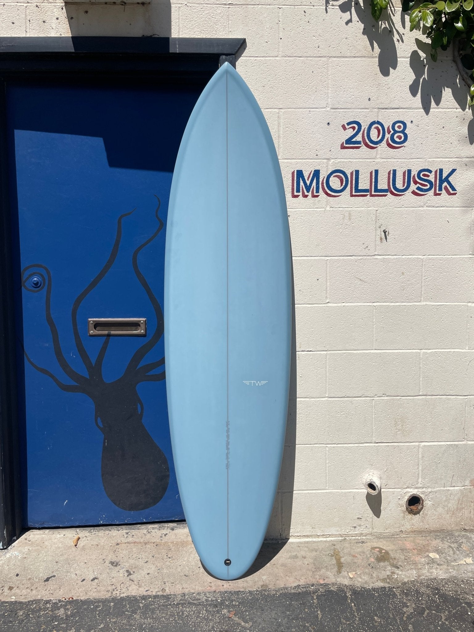 6'8 Tyler Warren Speed Egg Quad - Mollusk Surf Shop