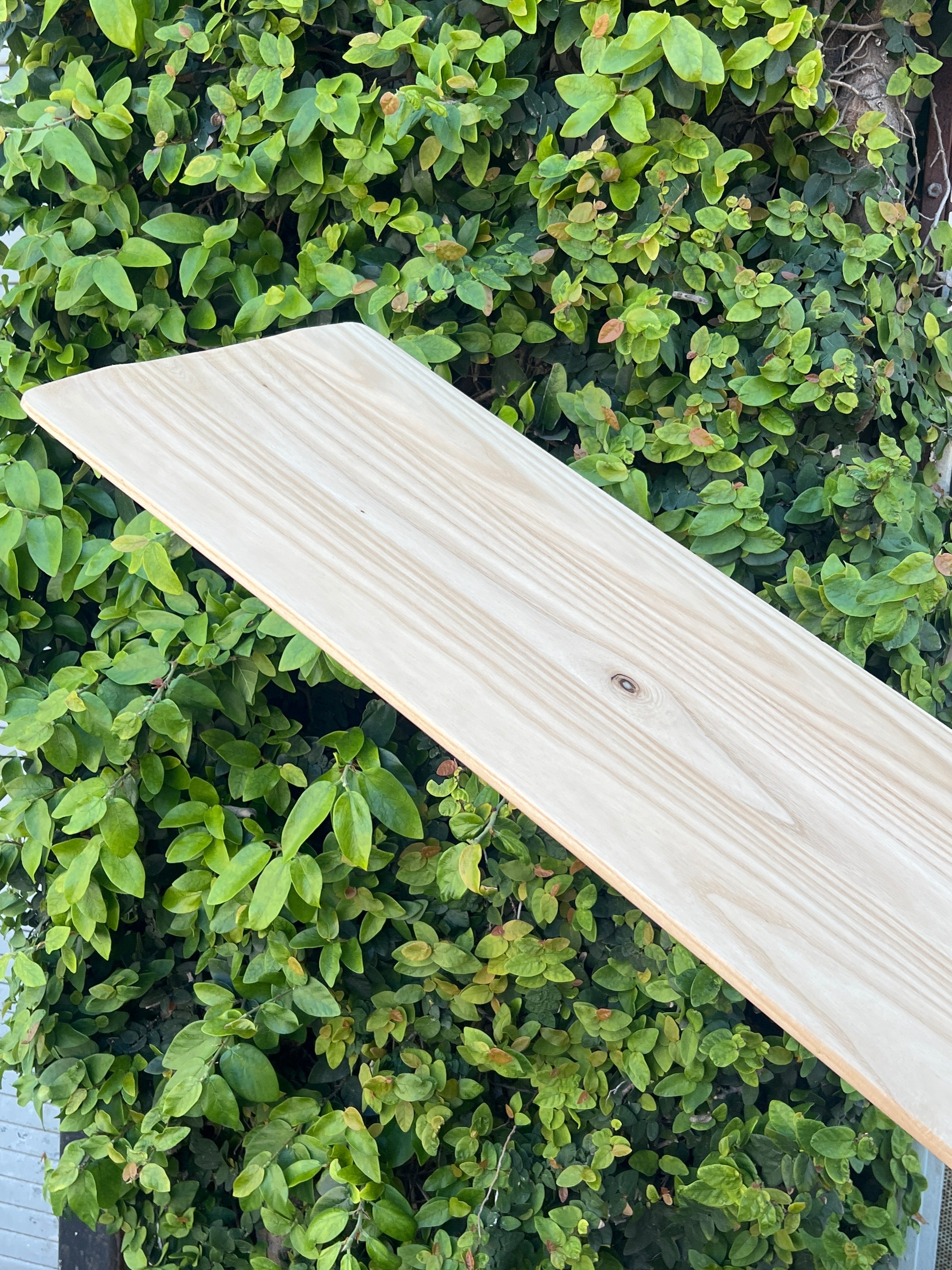 6'8 Wegener Stuth Alaia - Mollusk Surf Shop - description