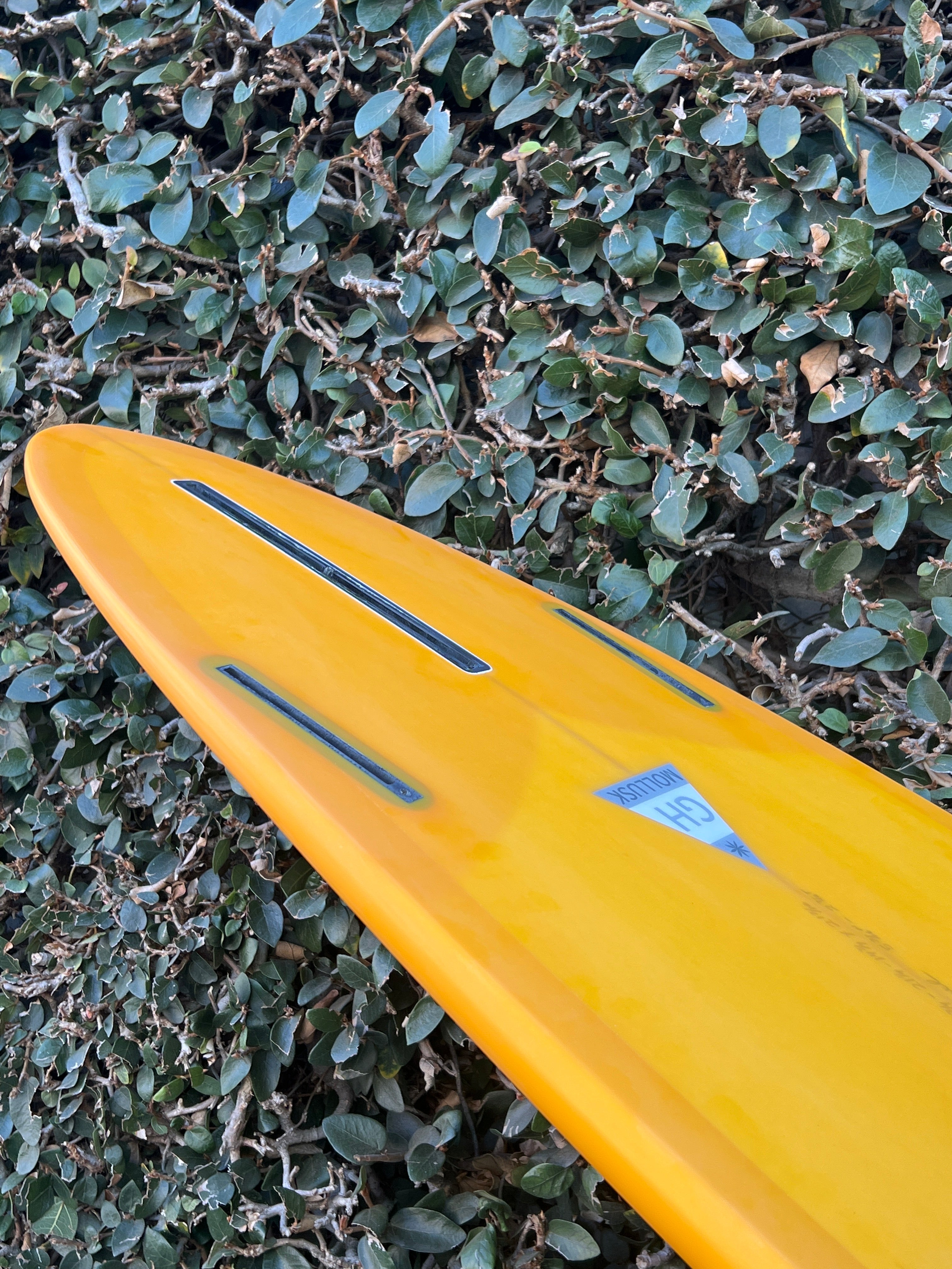 7'0 Hanel Egg 2+1 - Mollusk Surf Shop - description