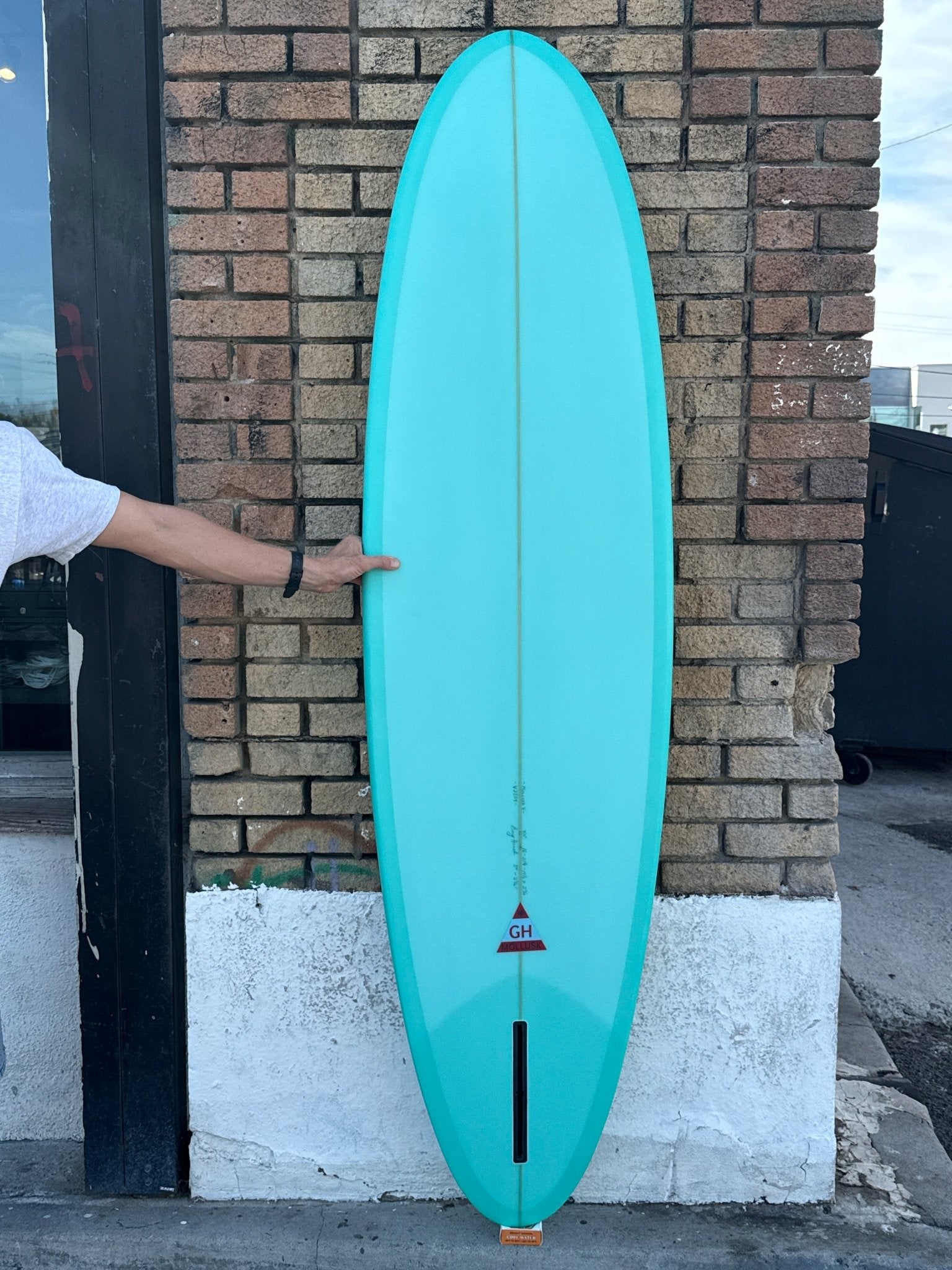 7'0 Hanel Egg - Mollusk Surf Shop