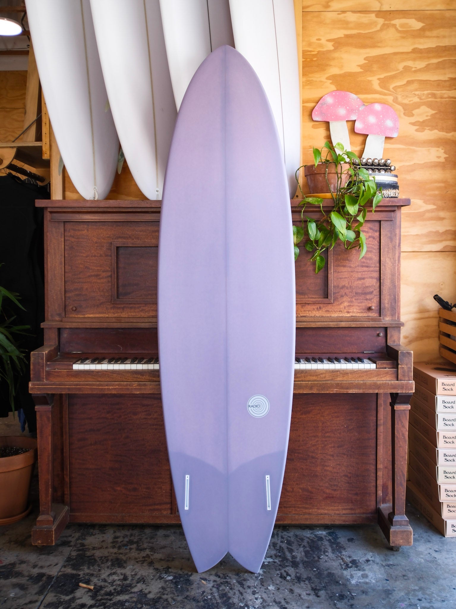7'0 Radio Spicy Fish - Mollusk Surf Shop