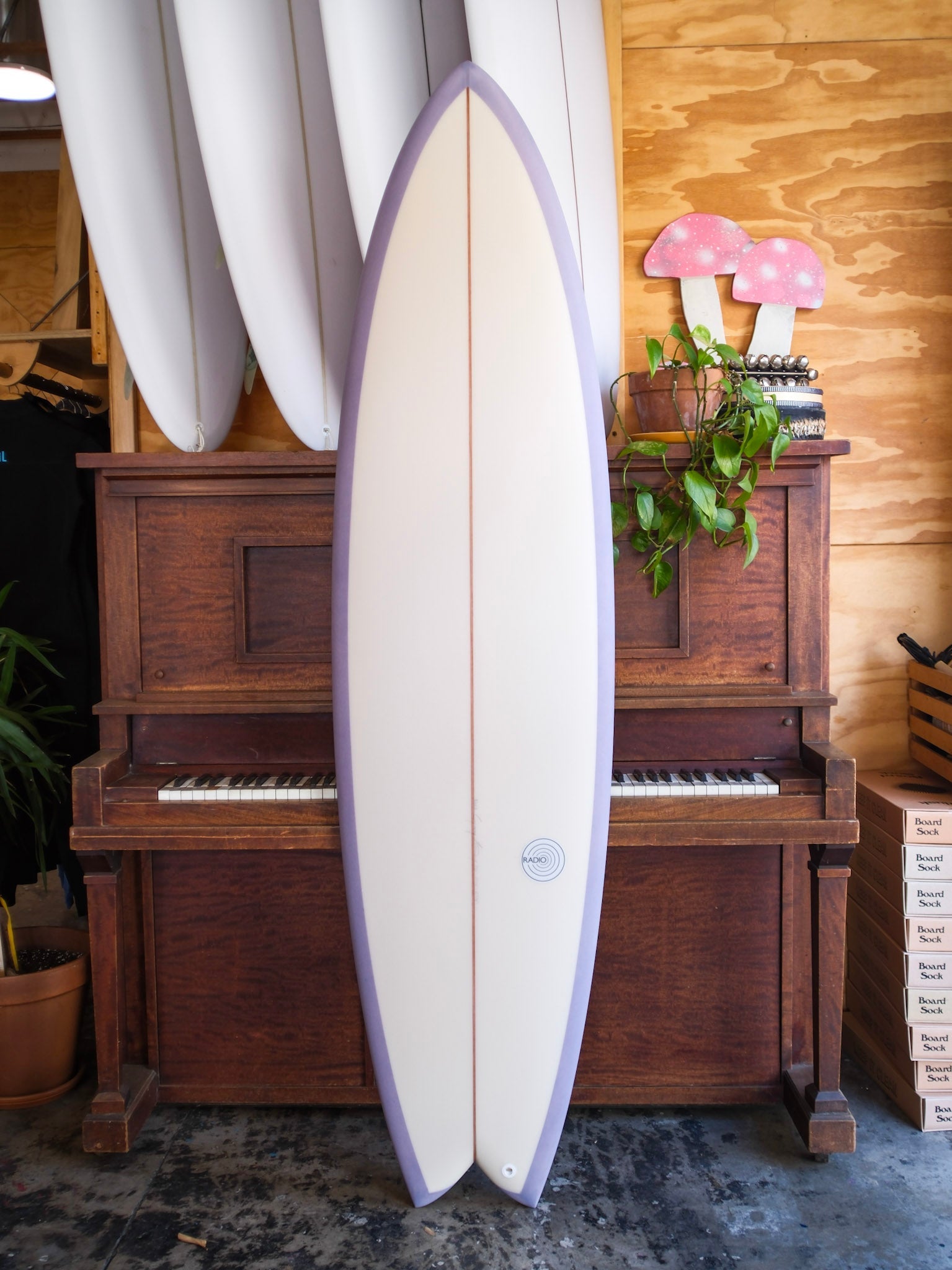 7'0 Radio Spicy Fish - Mollusk Surf Shop