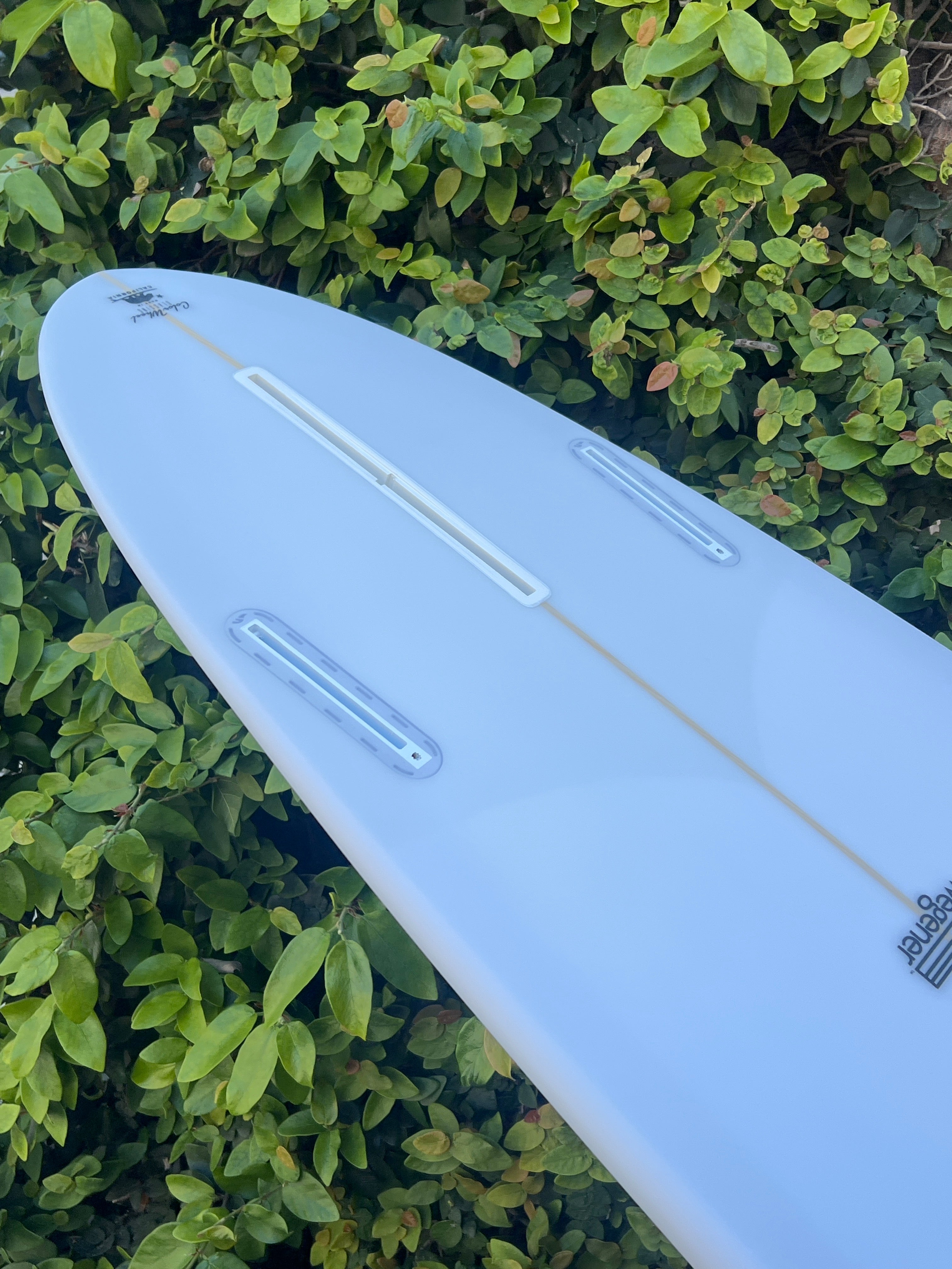 7'0 Wegener Wegg - Mollusk Surf Shop