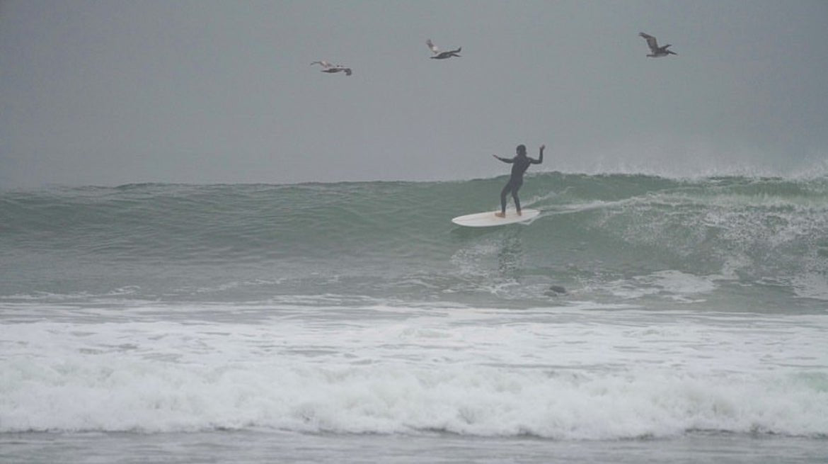 7'1 Beau Twonzer - Mollusk Surf Shop