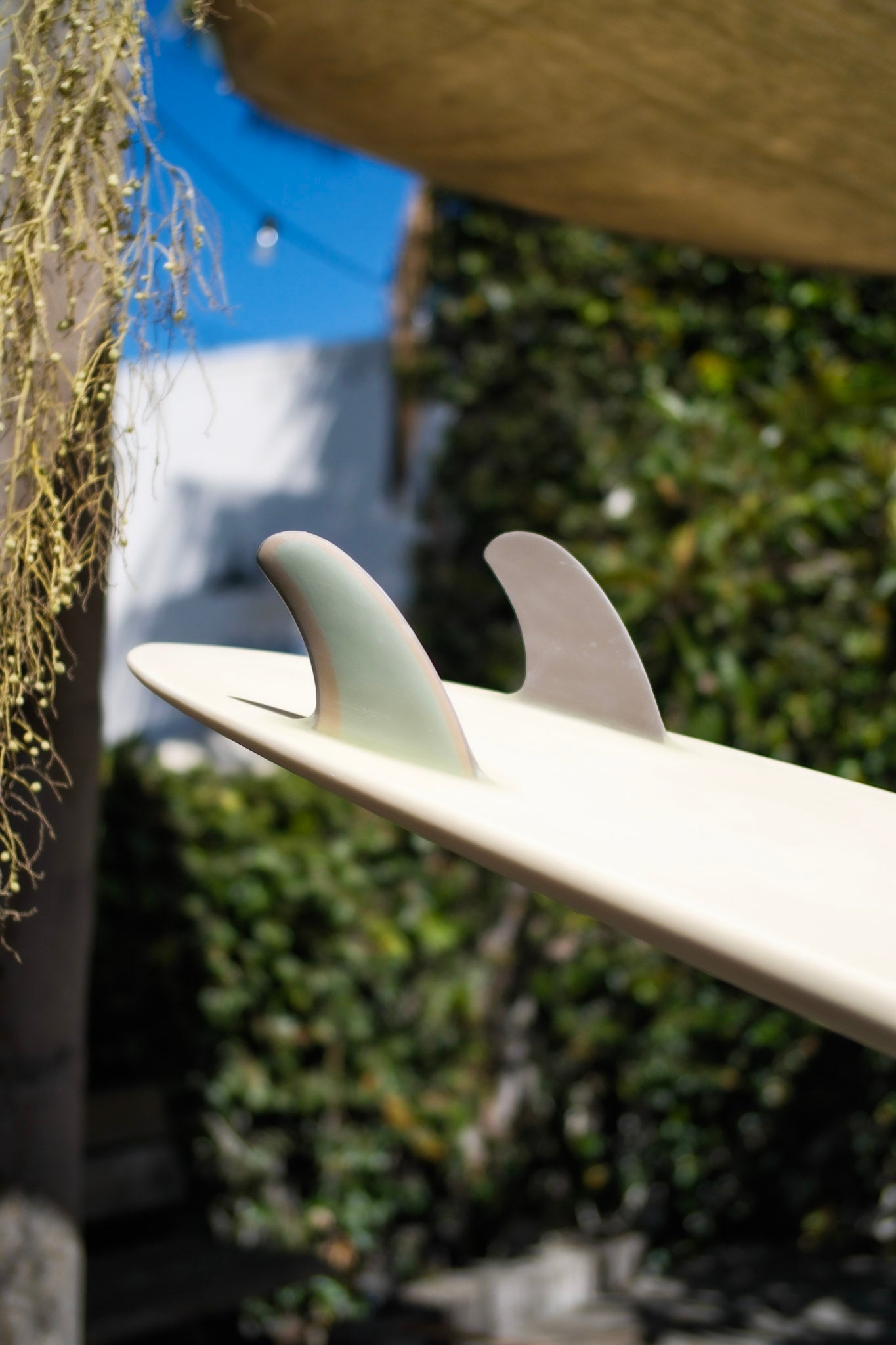 7'1 Jeff Svoboda Tarotplane - Mollusk Surf Shop - description