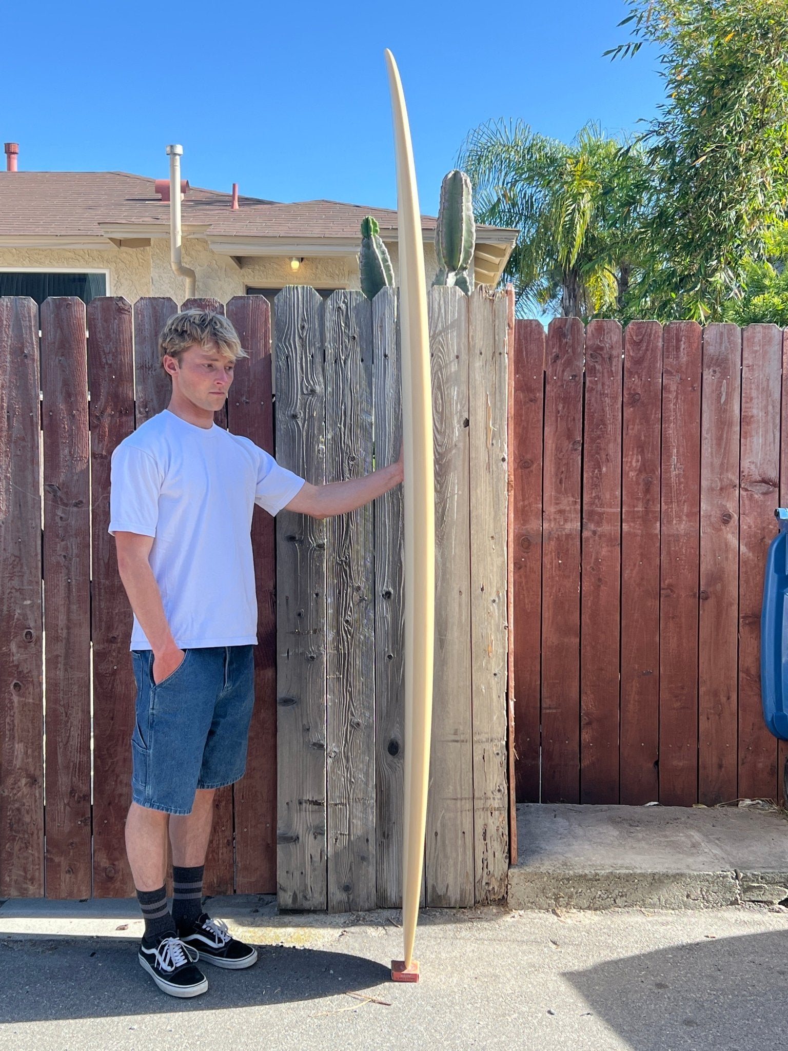 7'11 Jupiter Single Fin - Mollusk Surf Shop