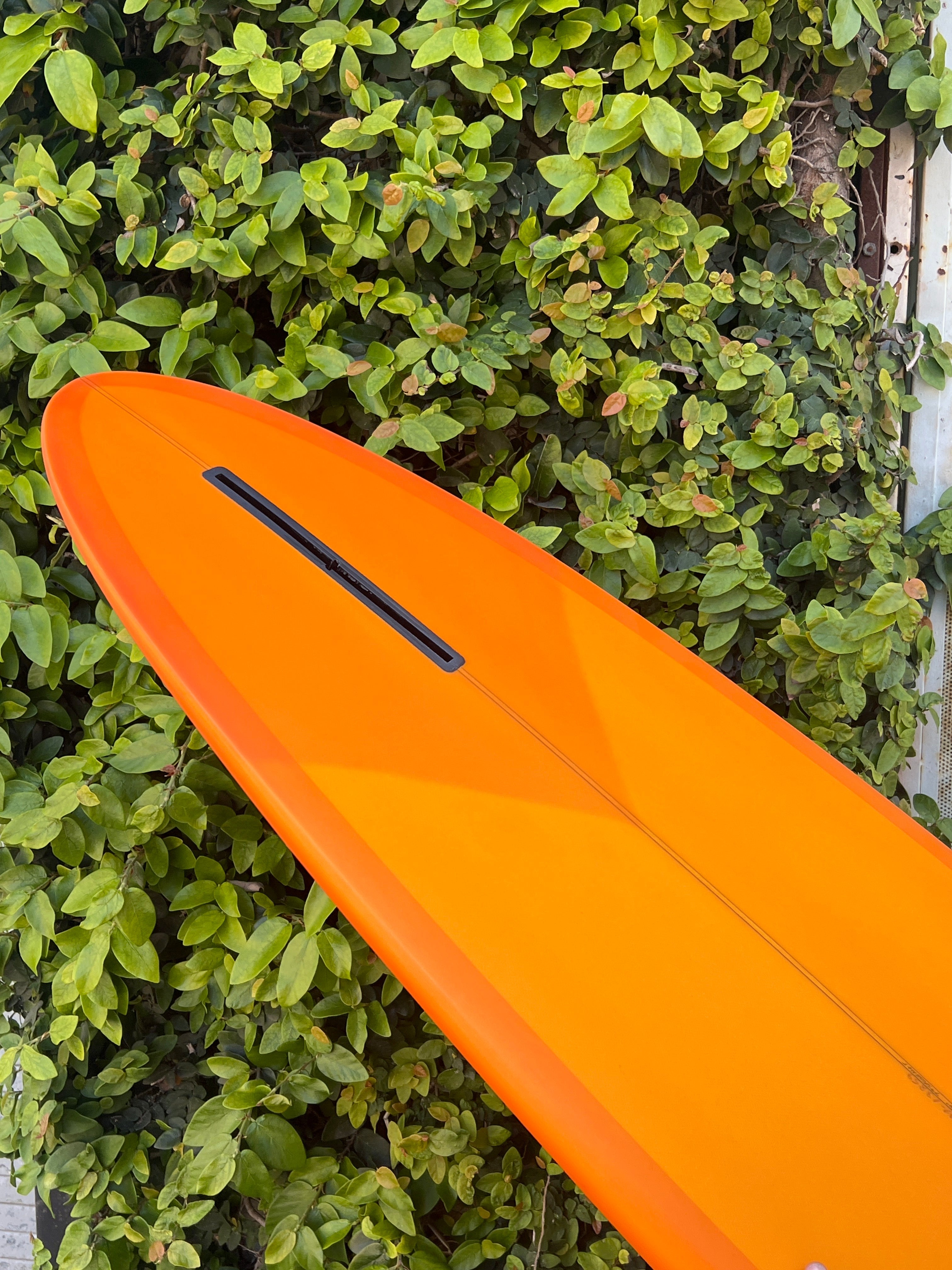 7'2 Mitsven Egg - Mollusk Surf Shop - description
