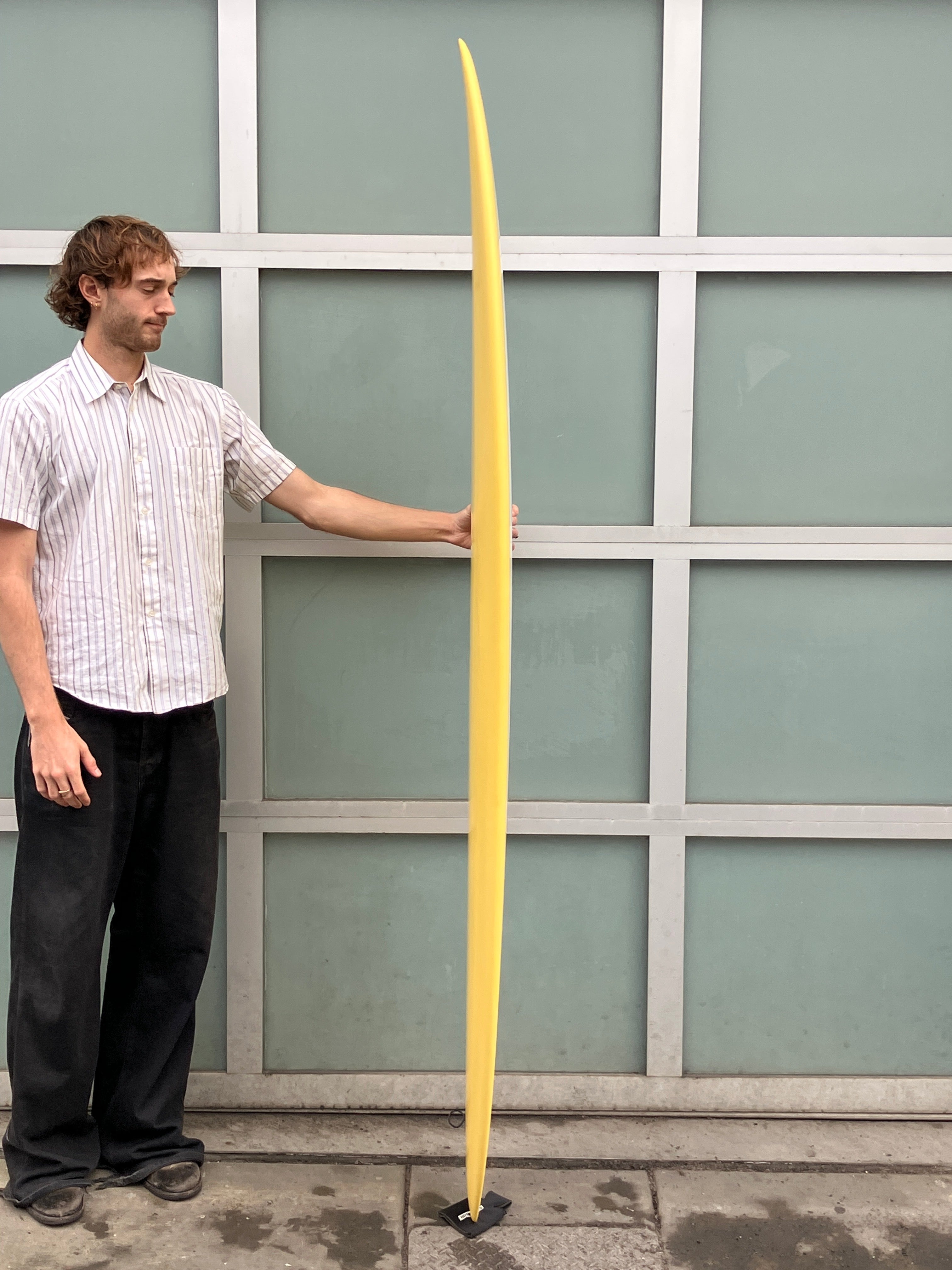 7'4 Passes Egg Baron - Mollusk Surf Shop