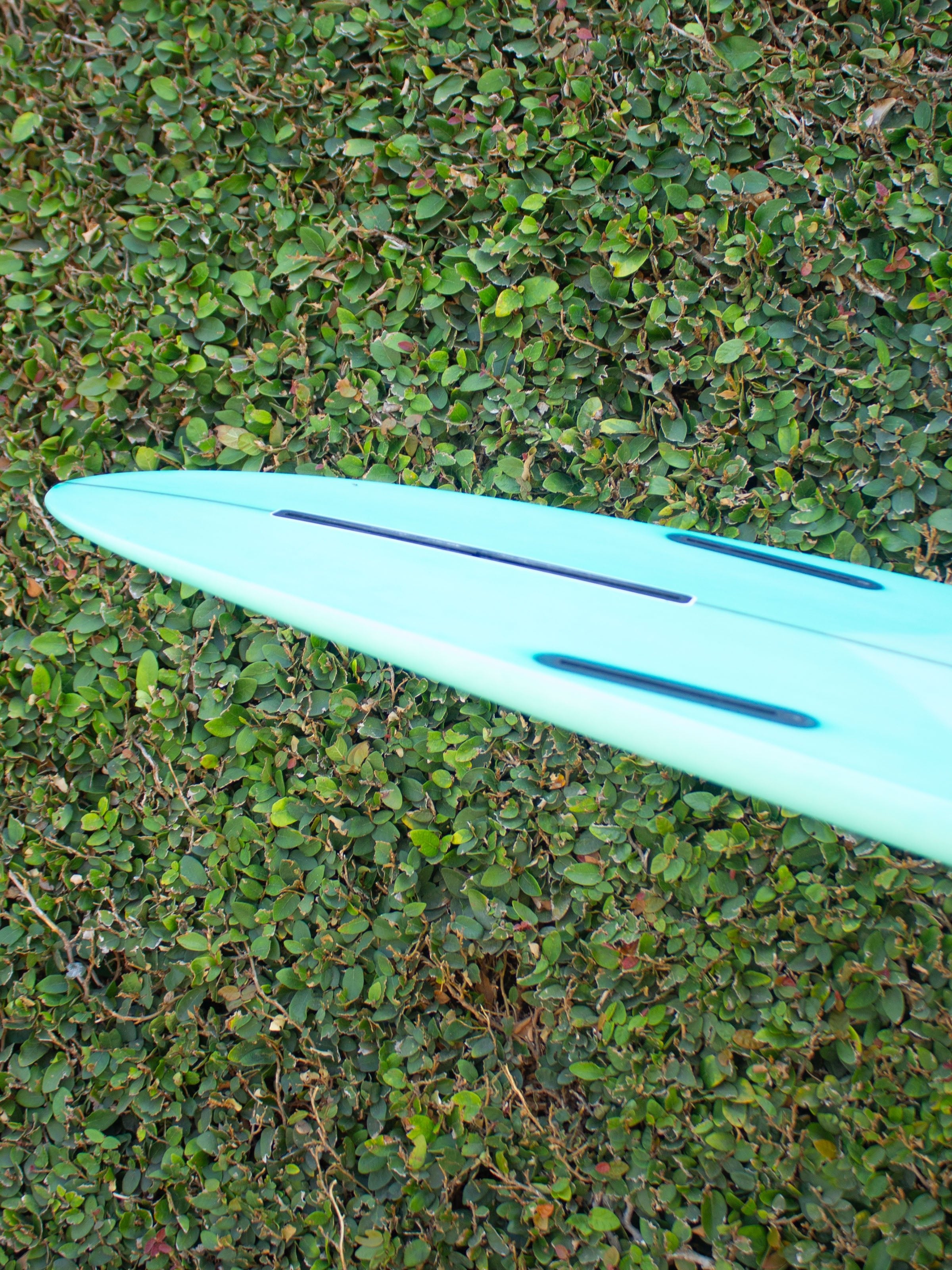 7'4 Radio Butterknife - Mollusk Surf Shop - description