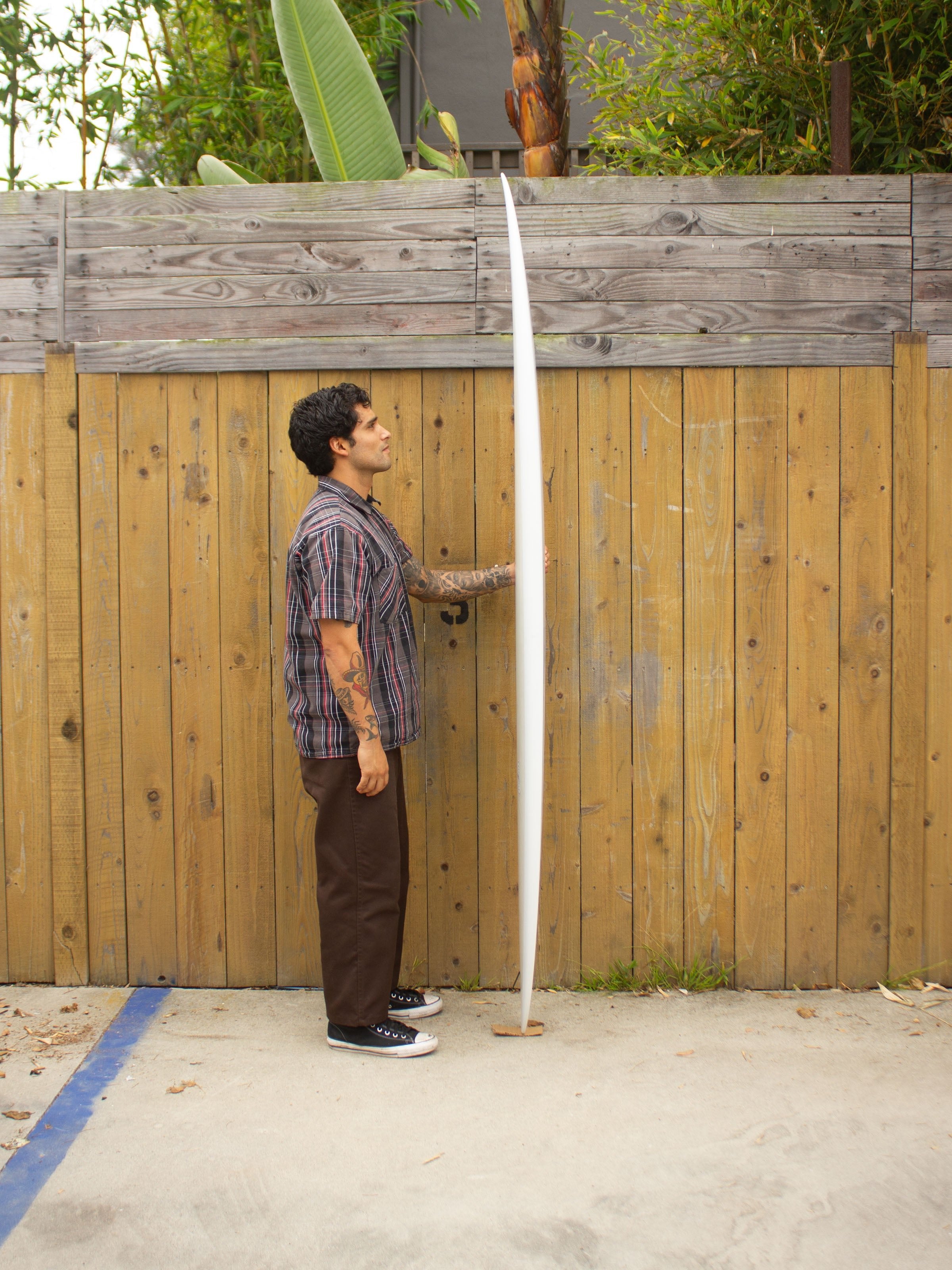 7'4 Radio Butterknife - Mollusk Surf Shop