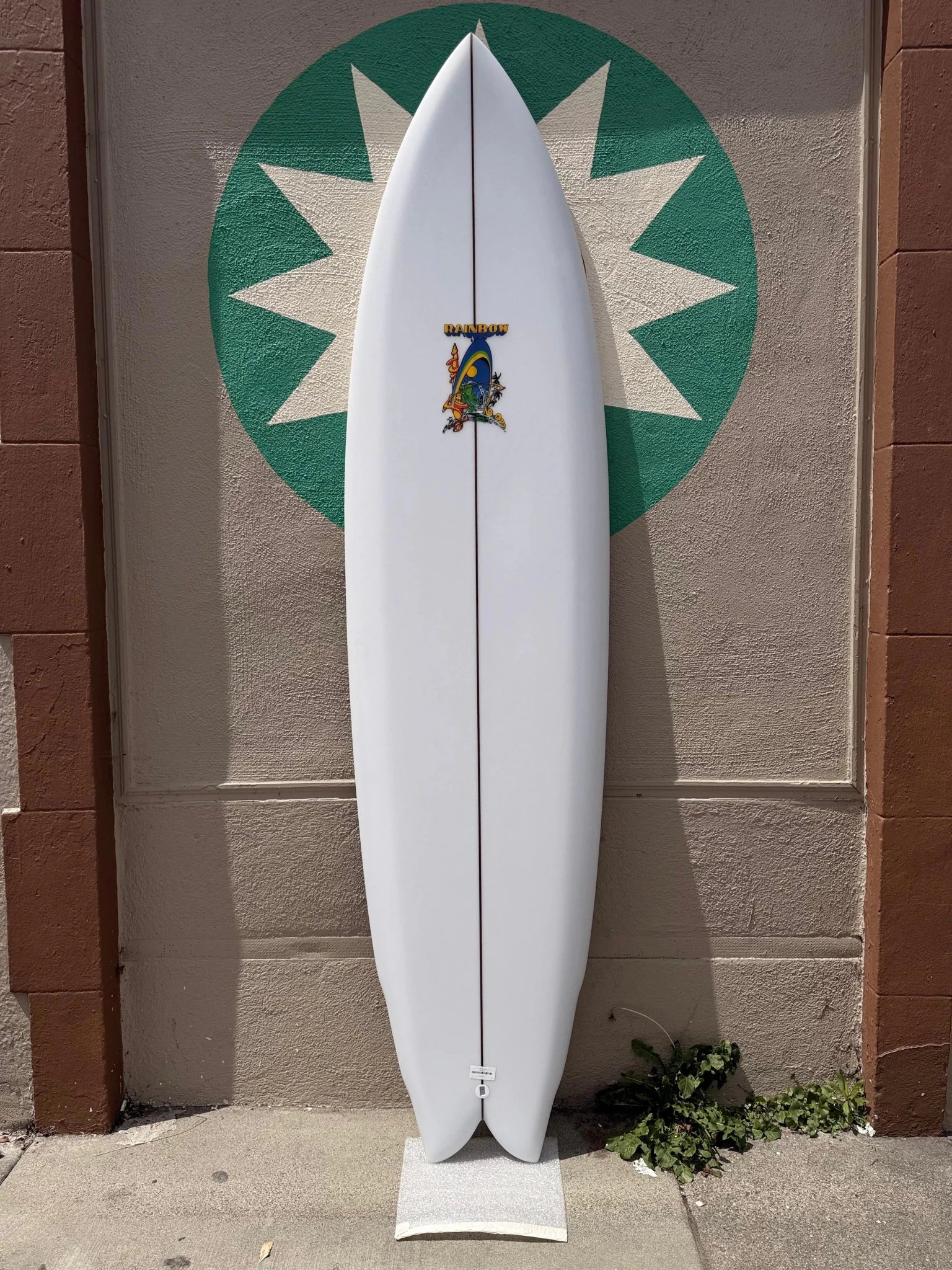 7'4 Rainbow Quad - Mollusk Surf Shop