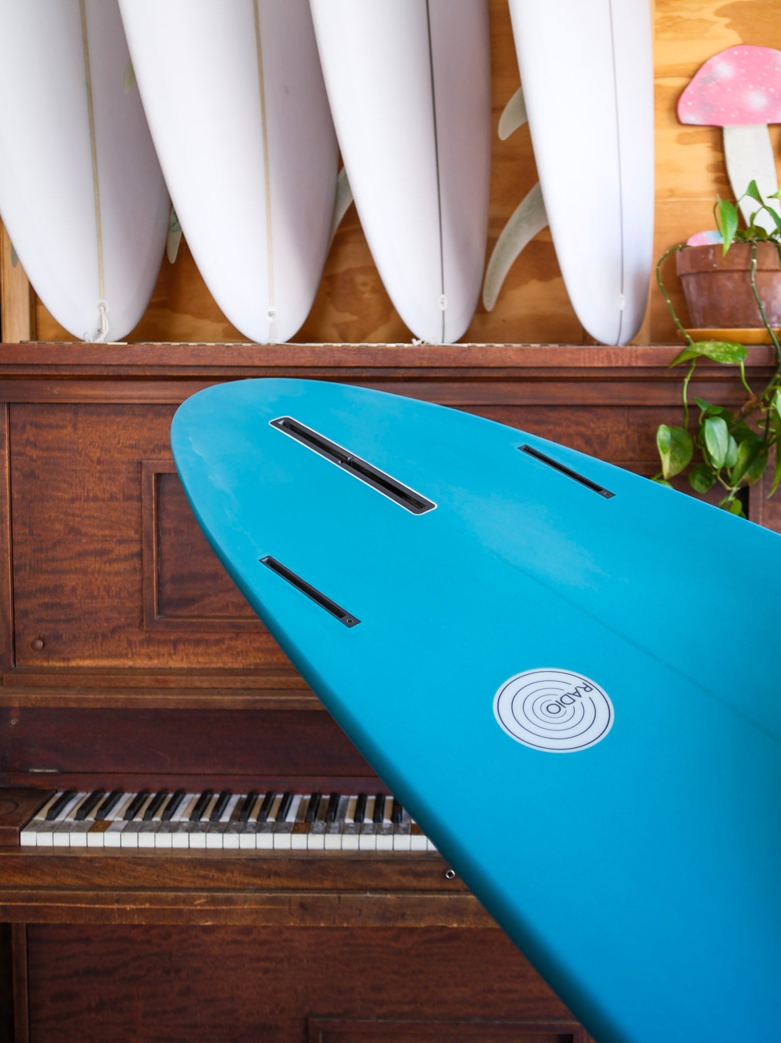 7'6 Radio ButterBlade - Mollusk Surf Shop - description