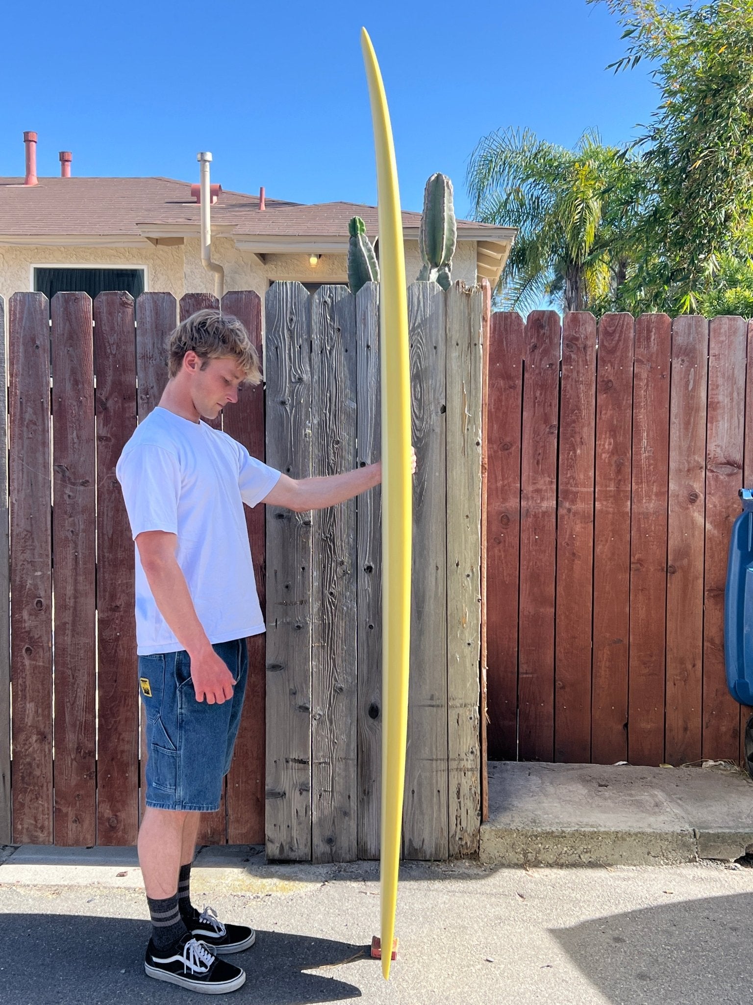 8'0 Jupiter Long Fish - Mollusk Surf Shop