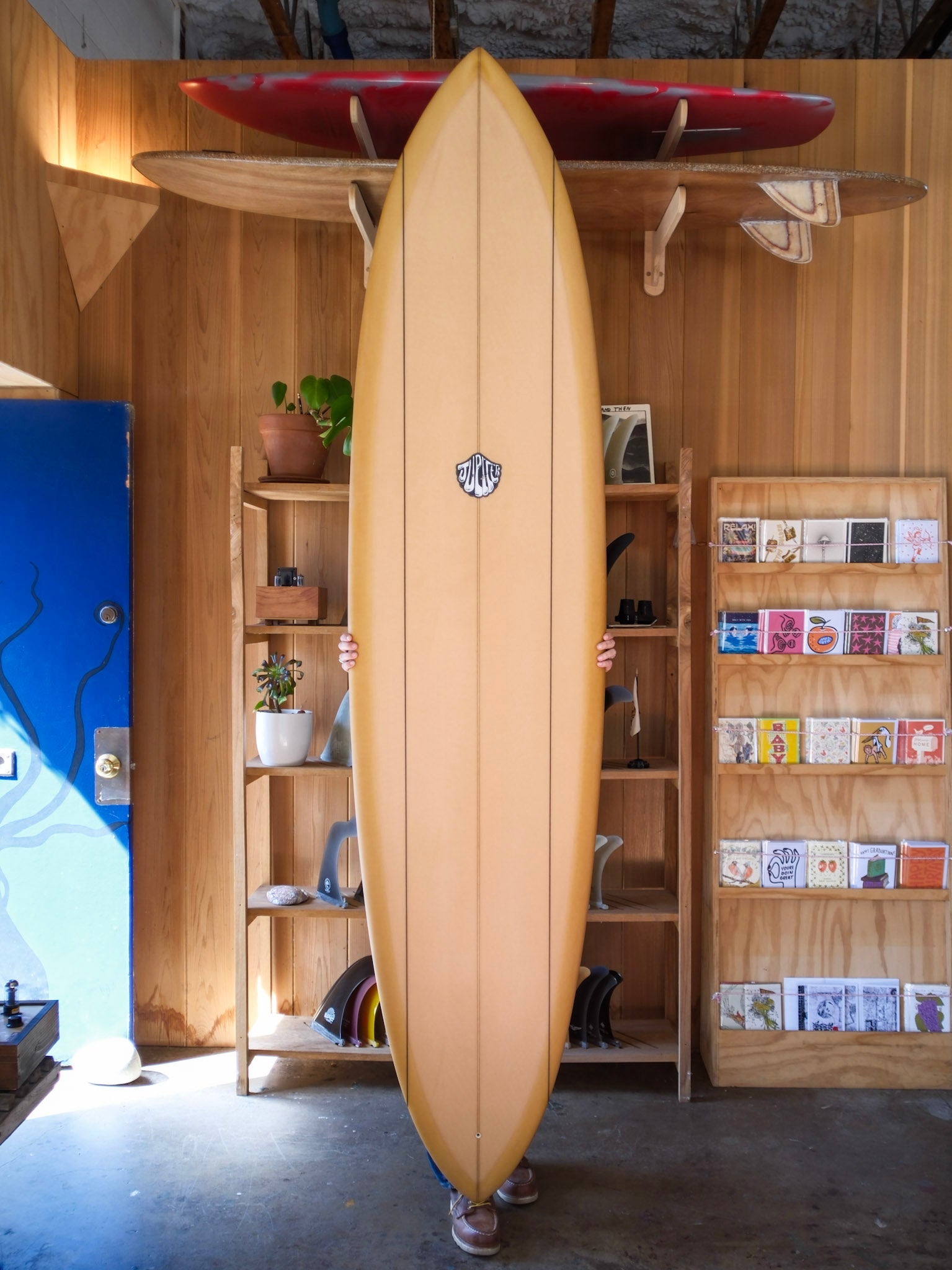 8'1 Jupiter Forbidden Fruit - Mollusk Surf Shop