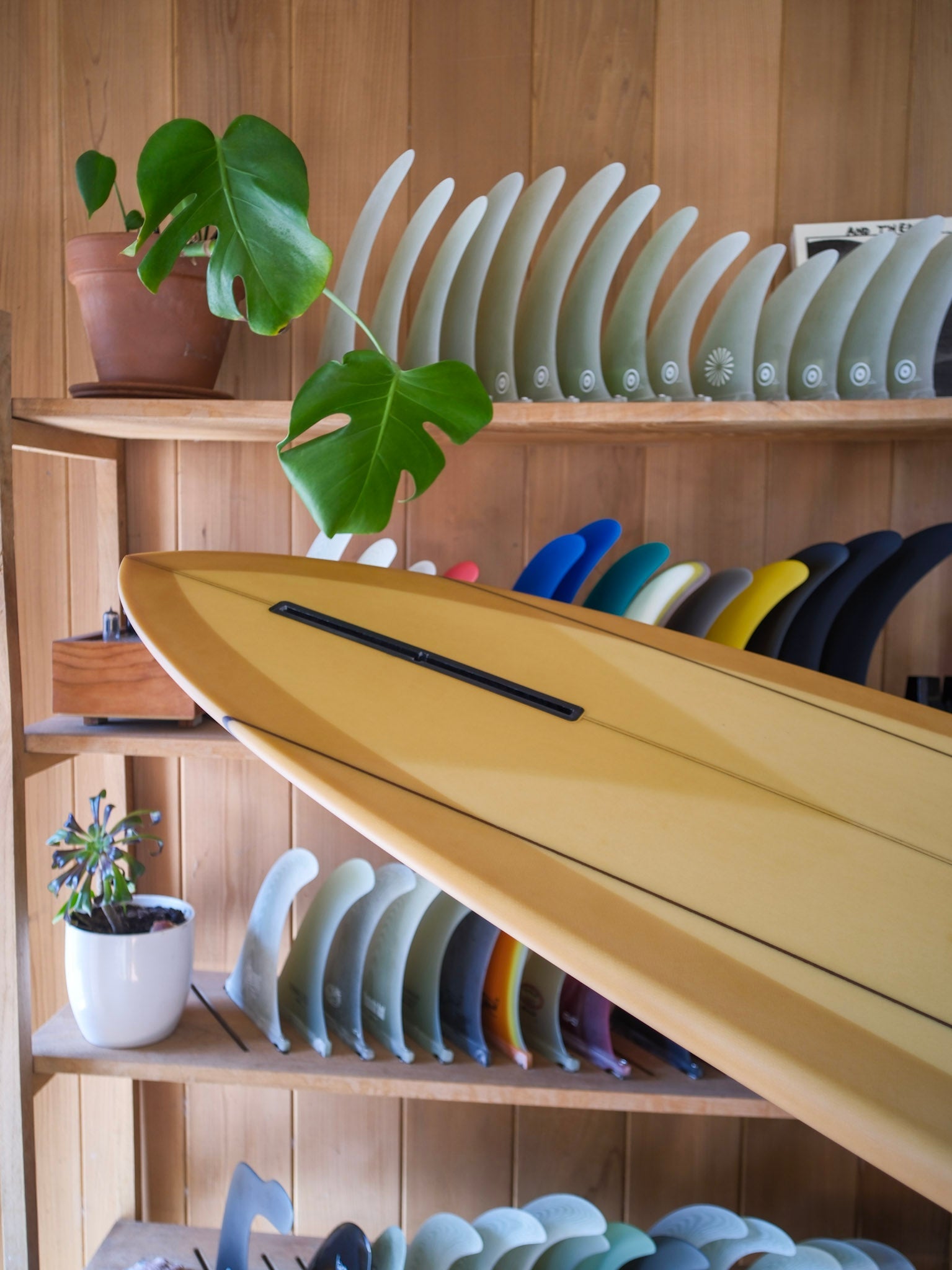 8'1 Jupiter Forbidden Fruit - Mollusk Surf Shop - description