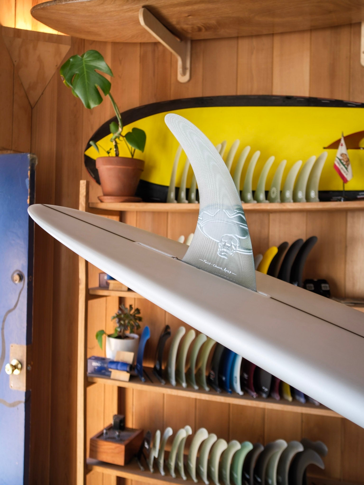 8'2 Liddle Super Smoothie - Mollusk Surf Shop - description