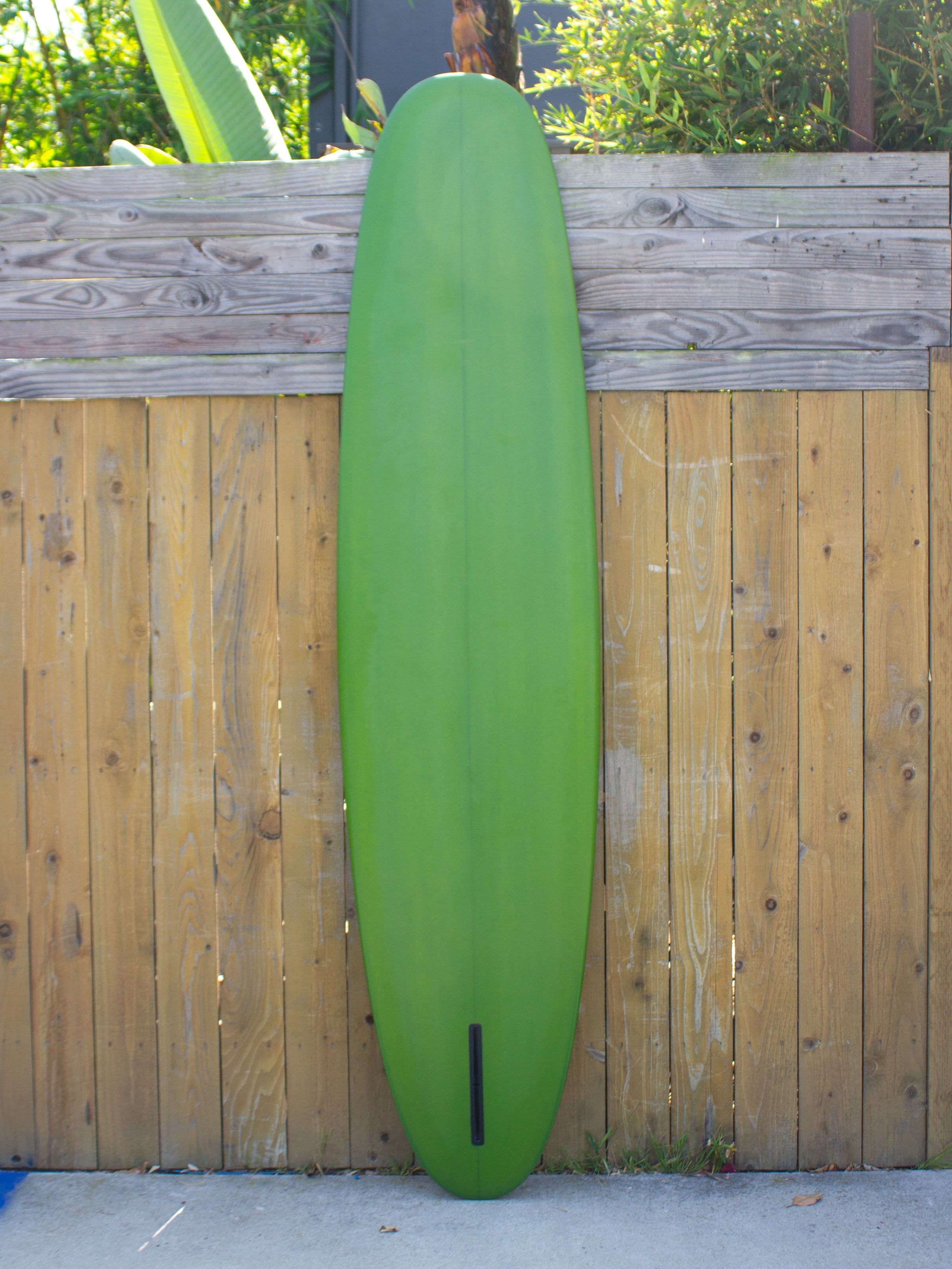8'2 Tyler Warren Evo Single Egg - Mollusk Surf Shop