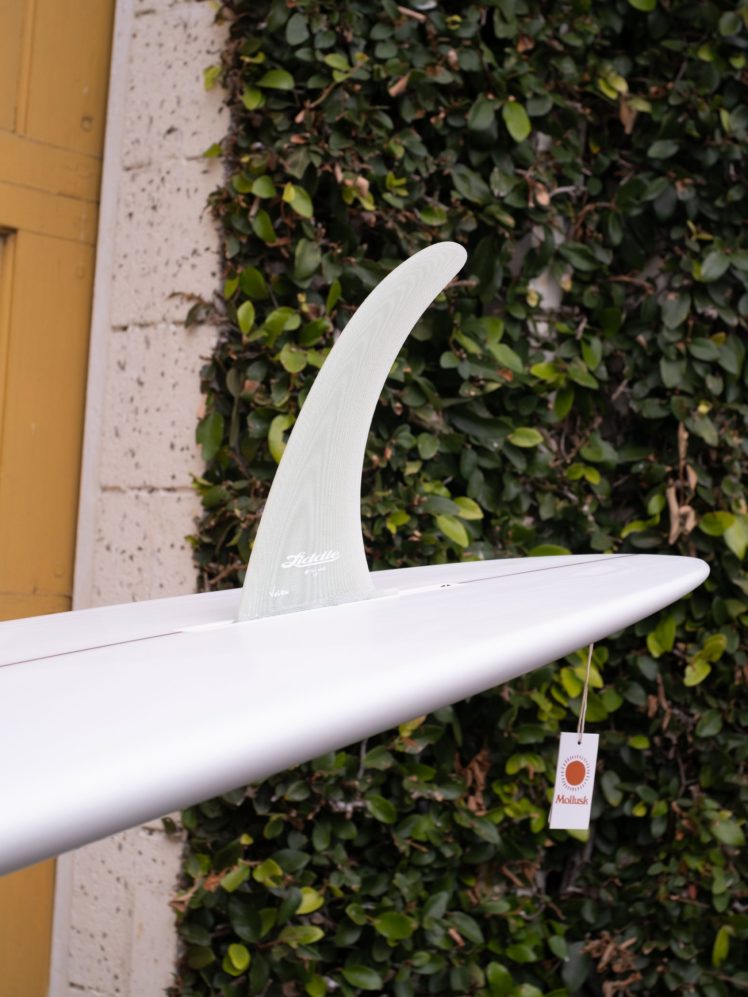 8'4 Liddle Super Smoothie - Mollusk Surf Shop - description
