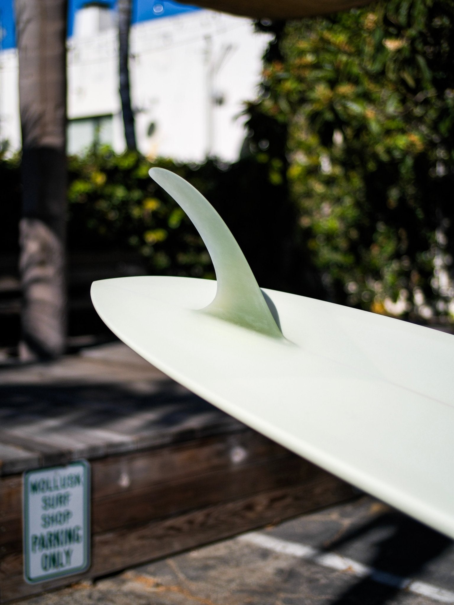 8'5 Jeff Svoboda Billie Jean - Mollusk Surf Shop - description