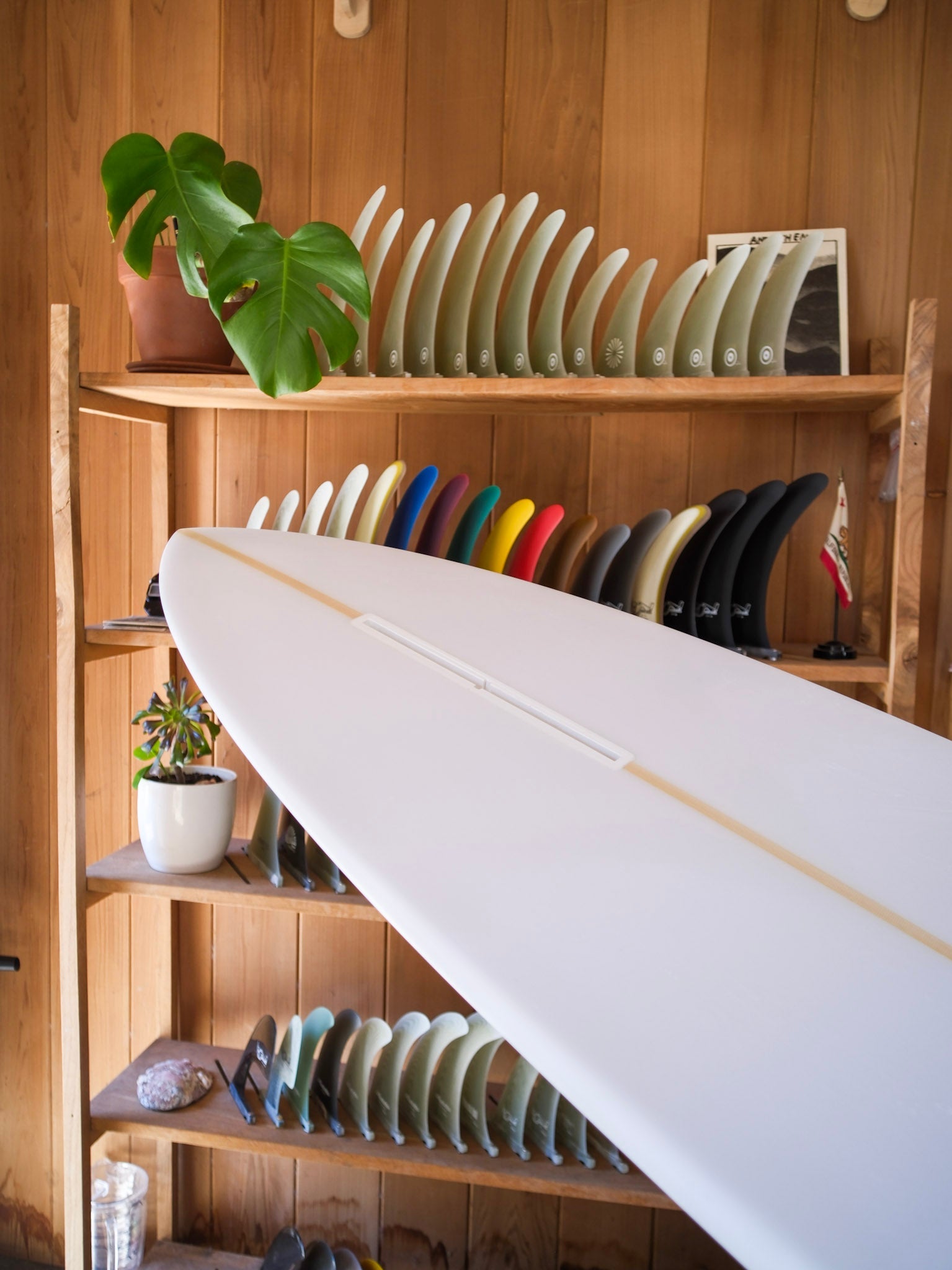 8'5 Jeff Svoboda Billy Jean - Mollusk Surf Shop - description