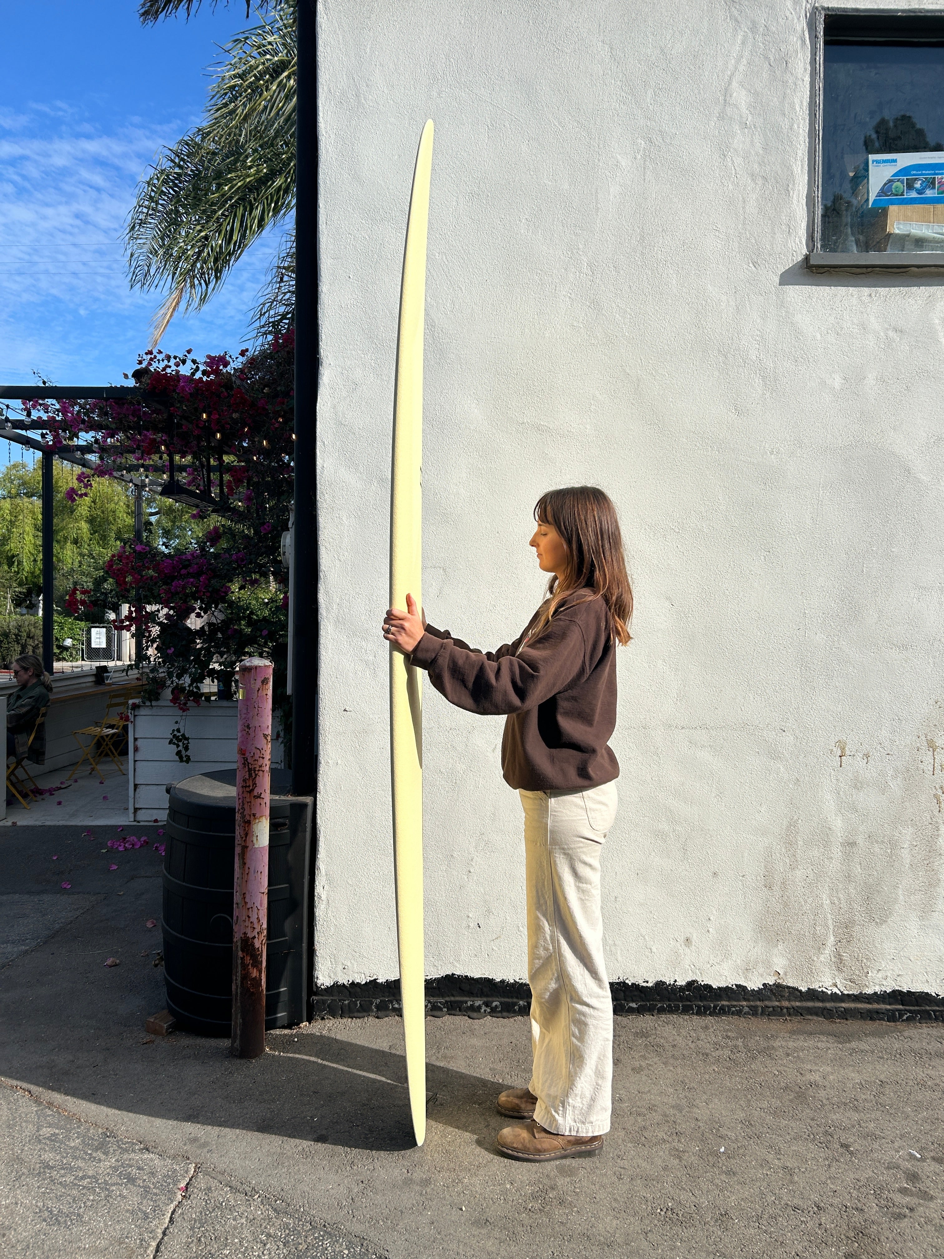 8'6 Crime Evolution - Mollusk Surf Shop