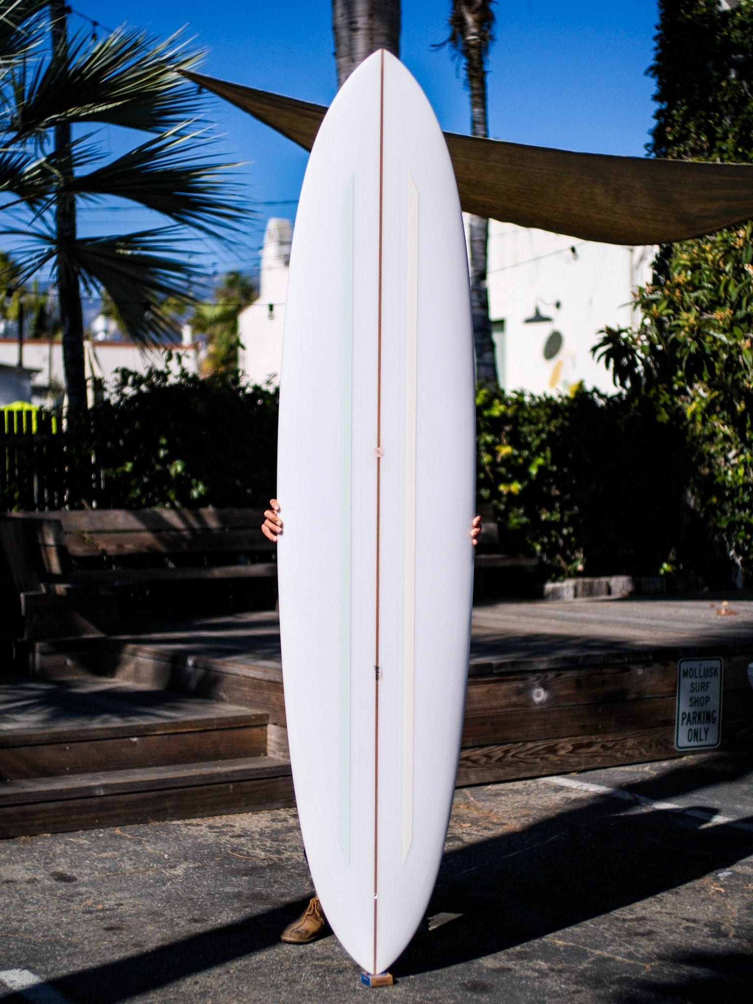 8'6 Jeff Svoboda Billie Jean - Mollusk Surf Shop