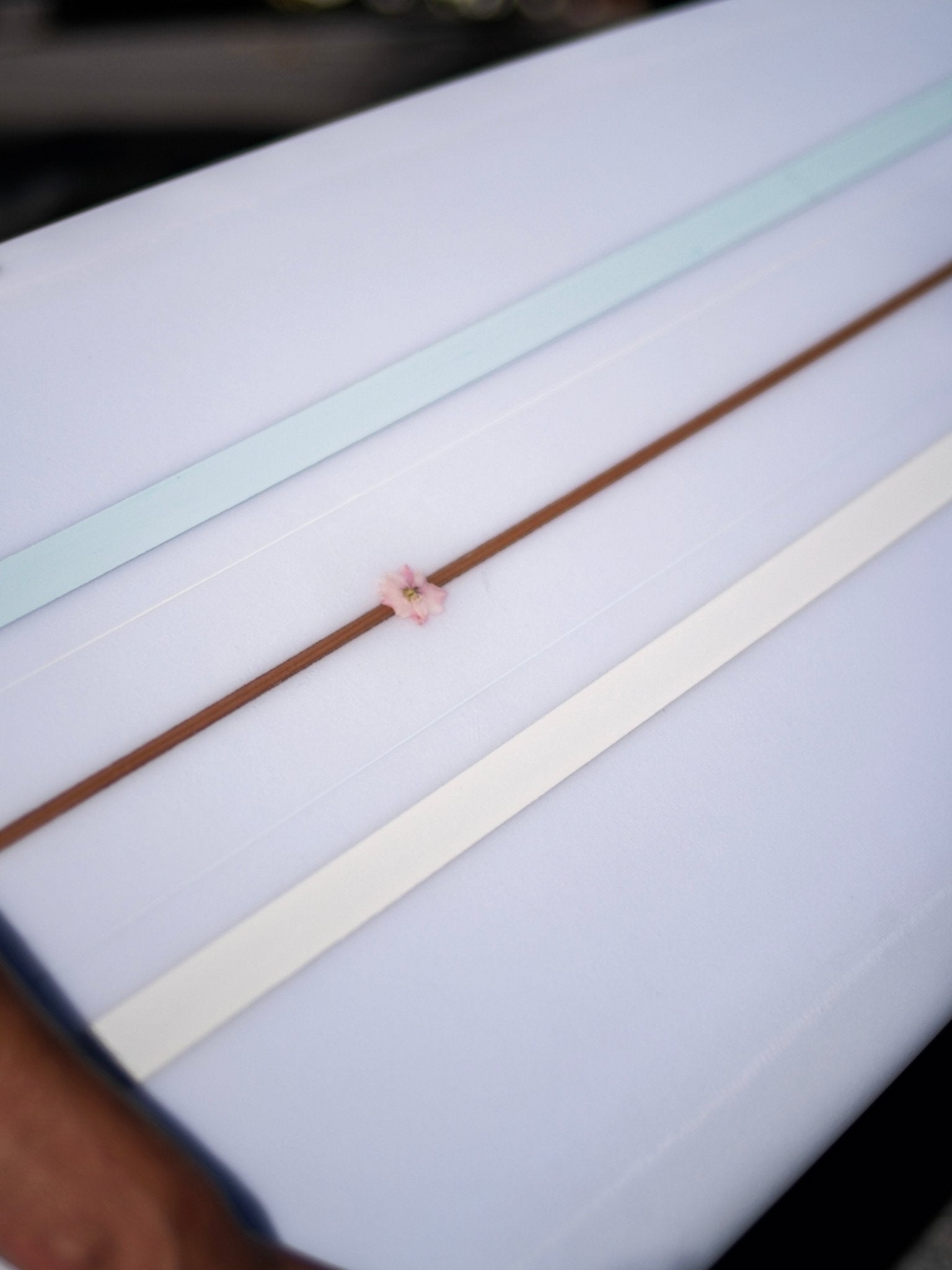 8'6 Jeff Svoboda Billie Jean - Mollusk Surf Shop