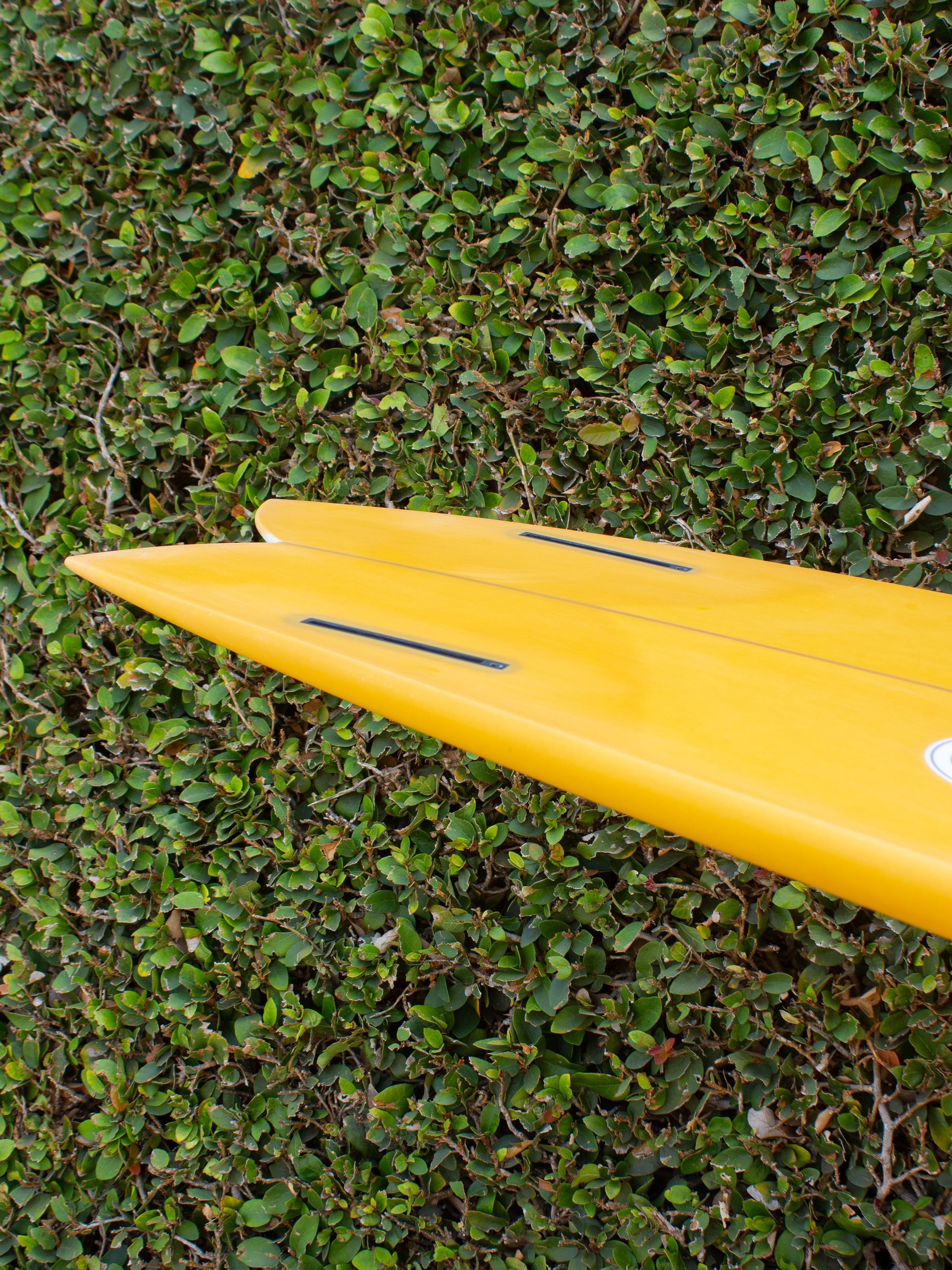 8'6 Radio Ocean Liner - Mollusk Surf Shop - description