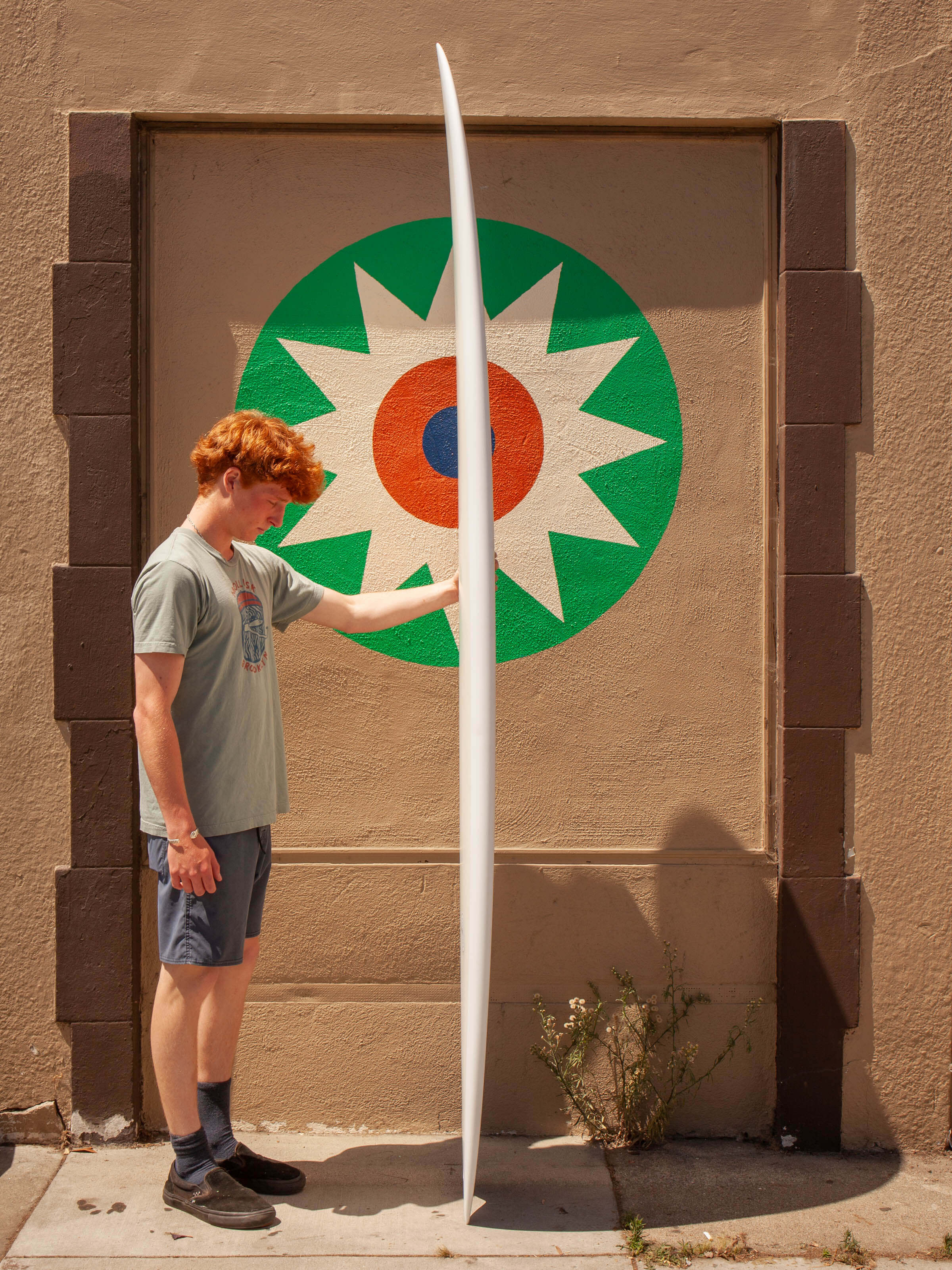 8'6 Radio Ocean Liner - Mollusk Surf Shop
