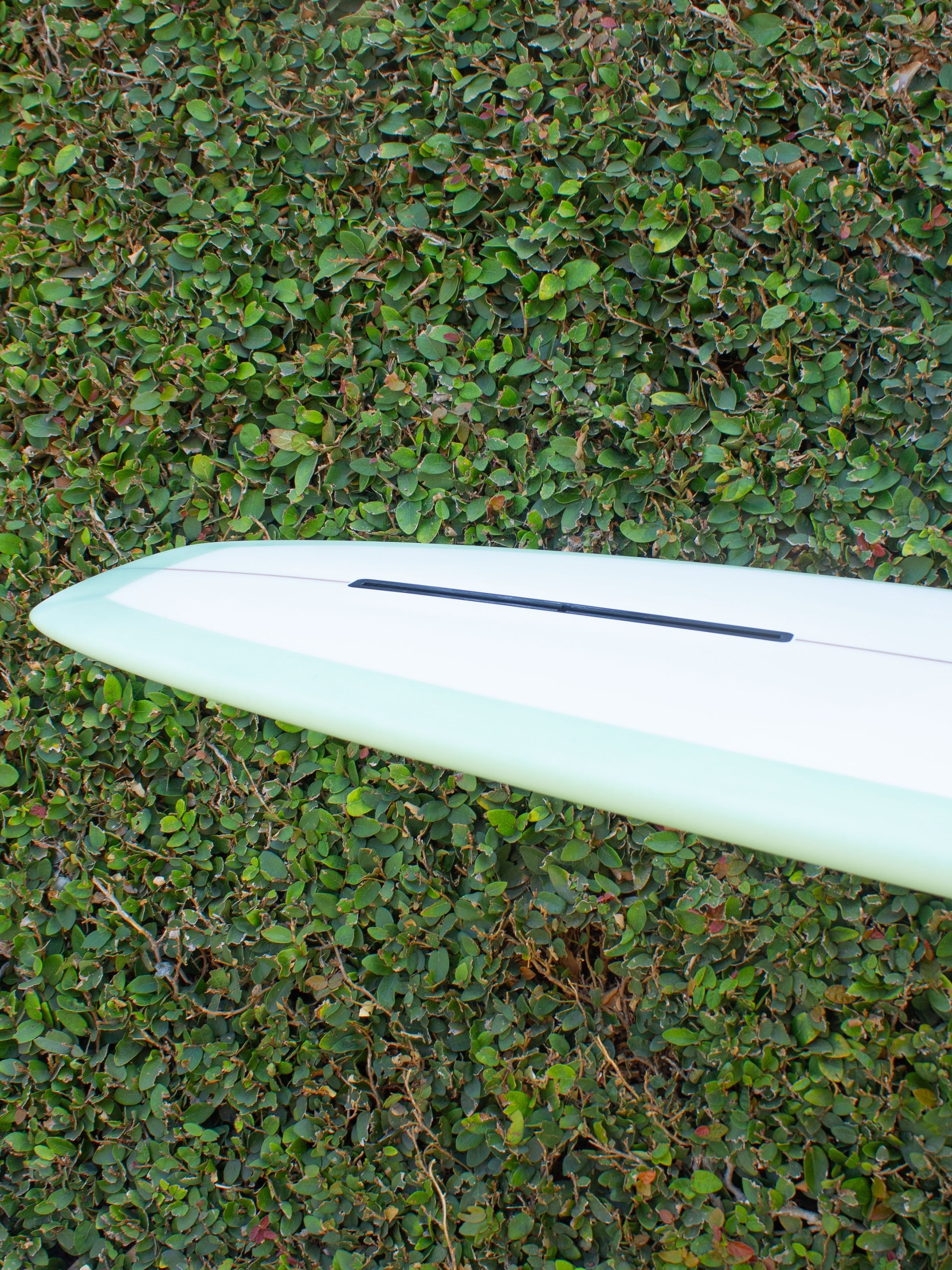 9'0 MPE Ruler - Mollusk Surf Shop - description