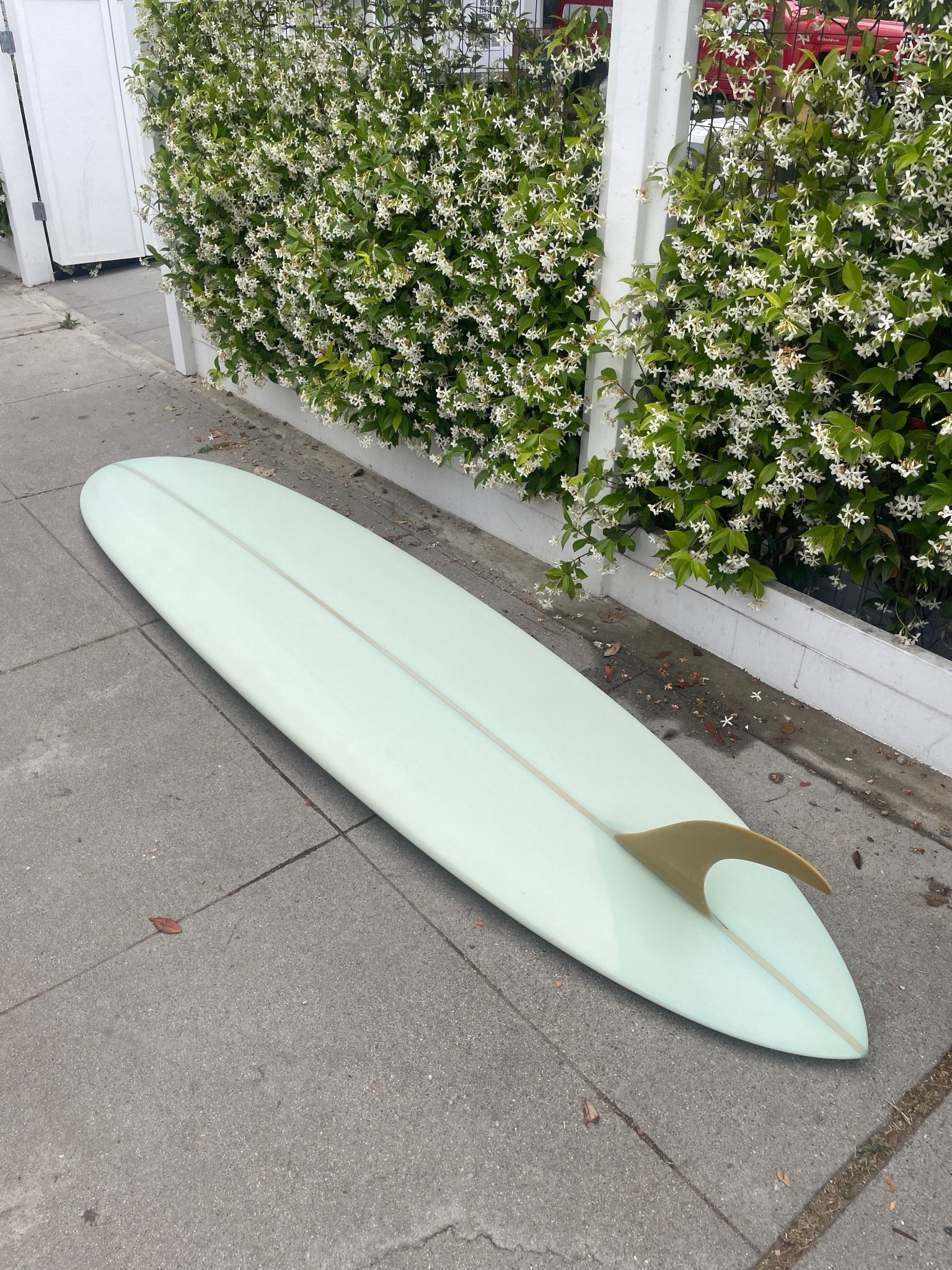 9'1 Jeff Svoboda Billie Jean - Mollusk Surf Shop