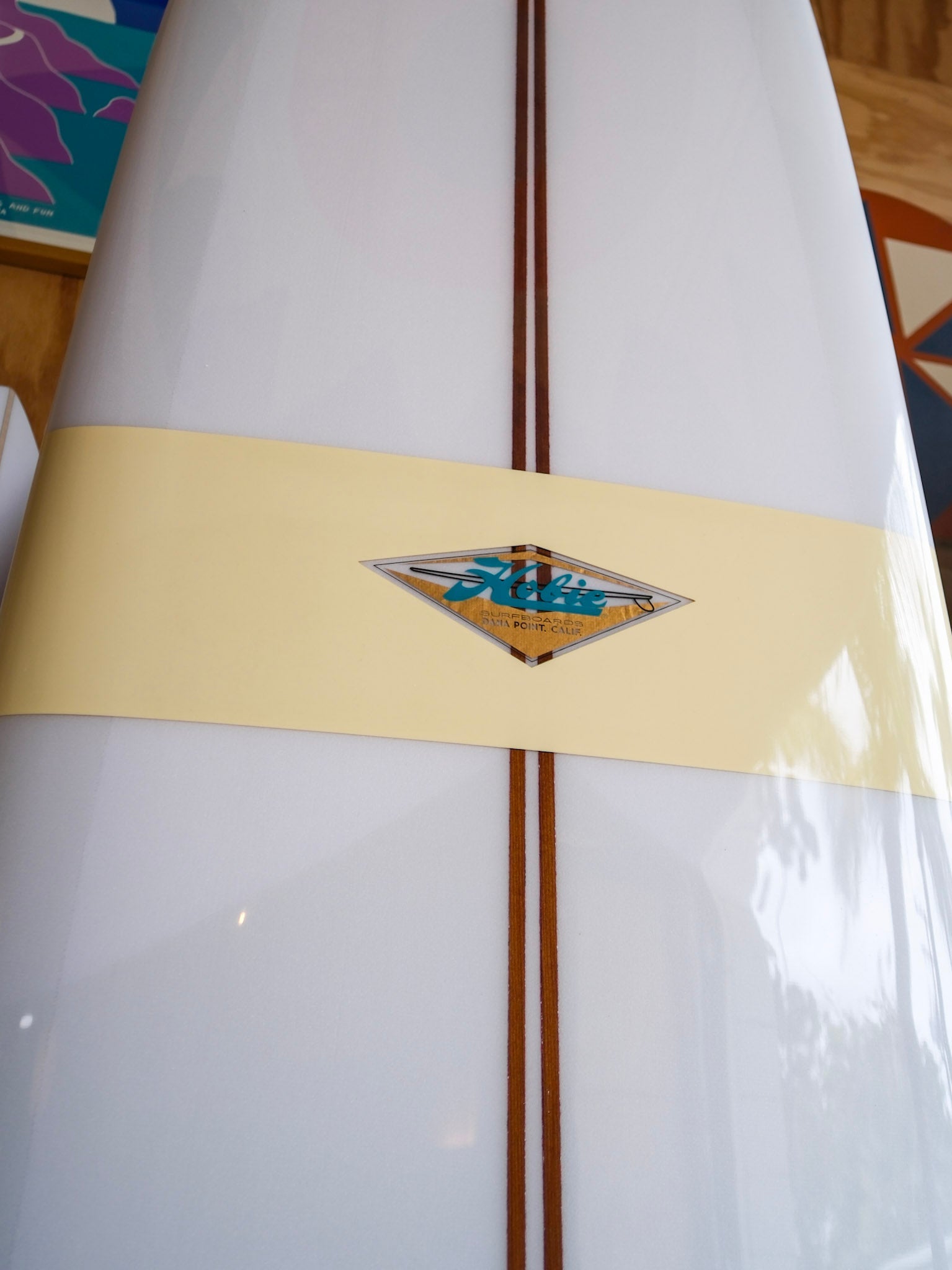 9'10 Hobie 66NR - Mollusk Surf Shop - description
