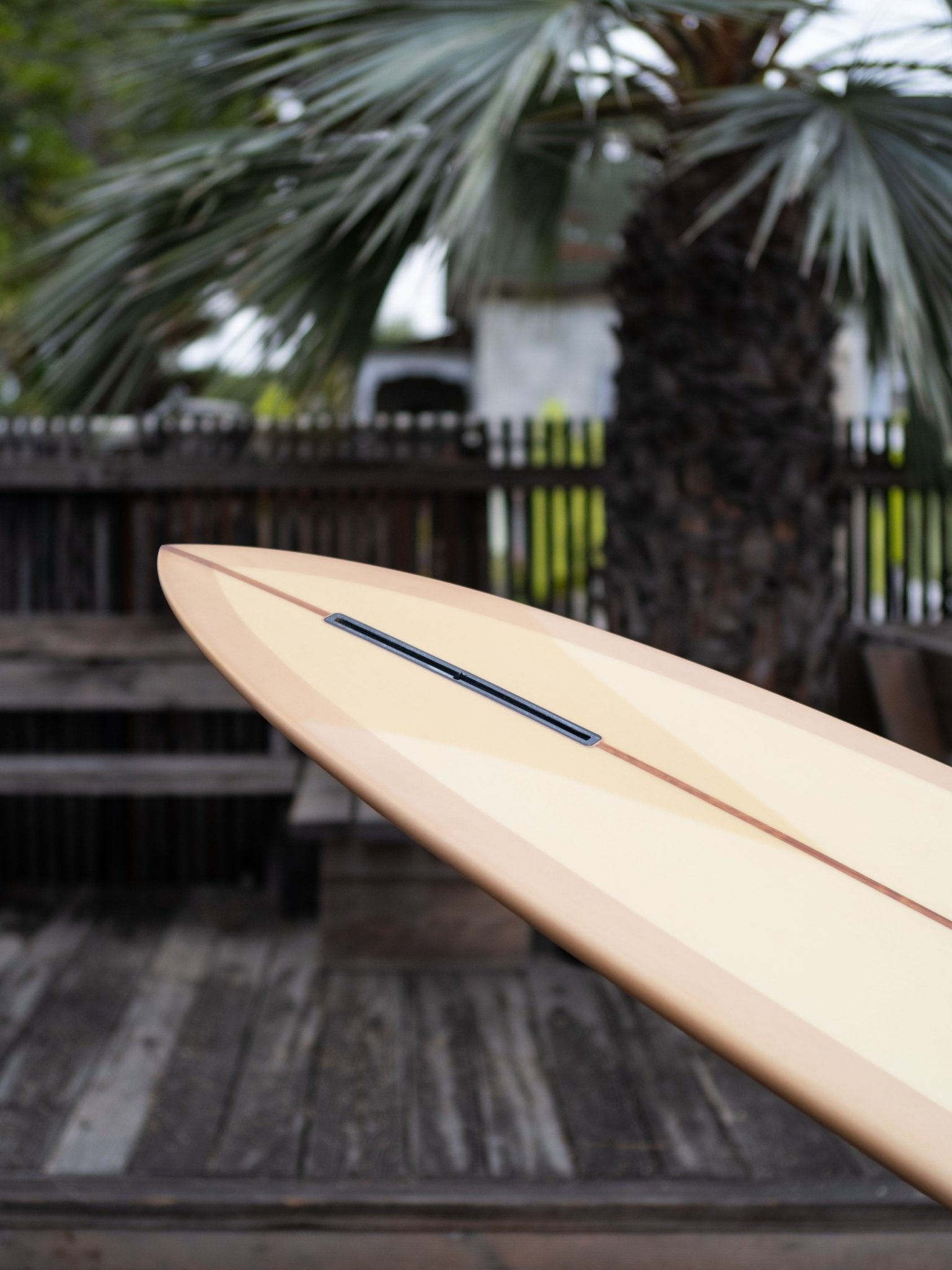 9'10 Jupiter Forbidden Fruit - Mollusk Surf Shop - description
