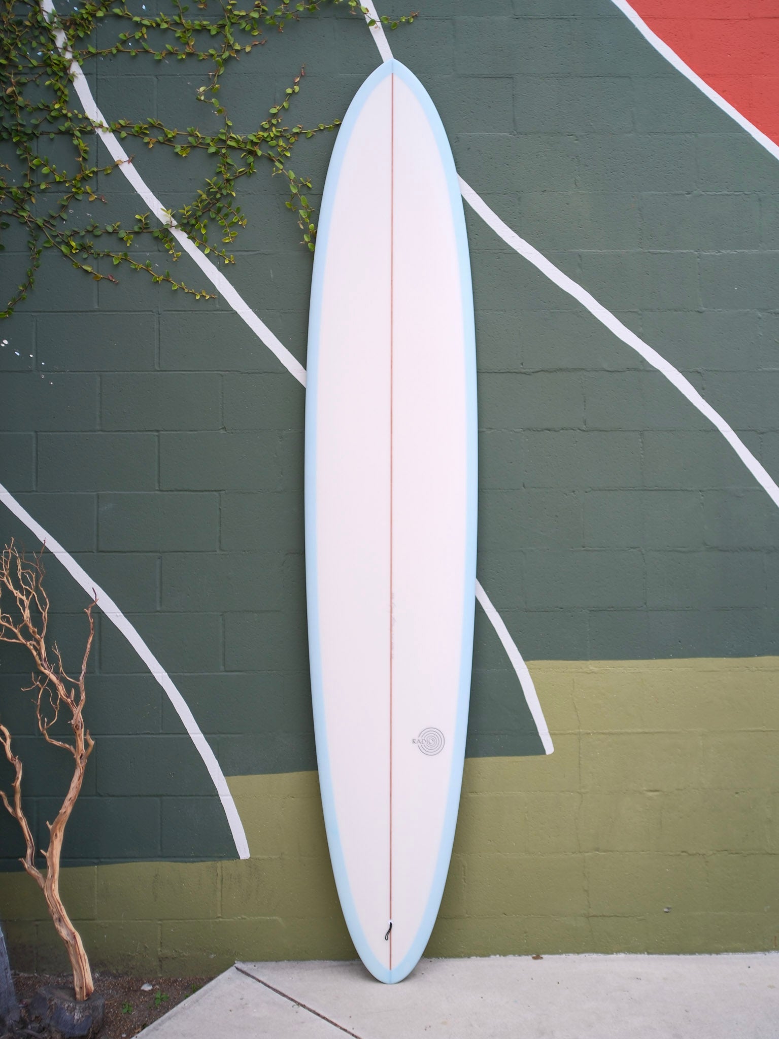 9'10 Radio Power Glider - Mollusk Surf Shop