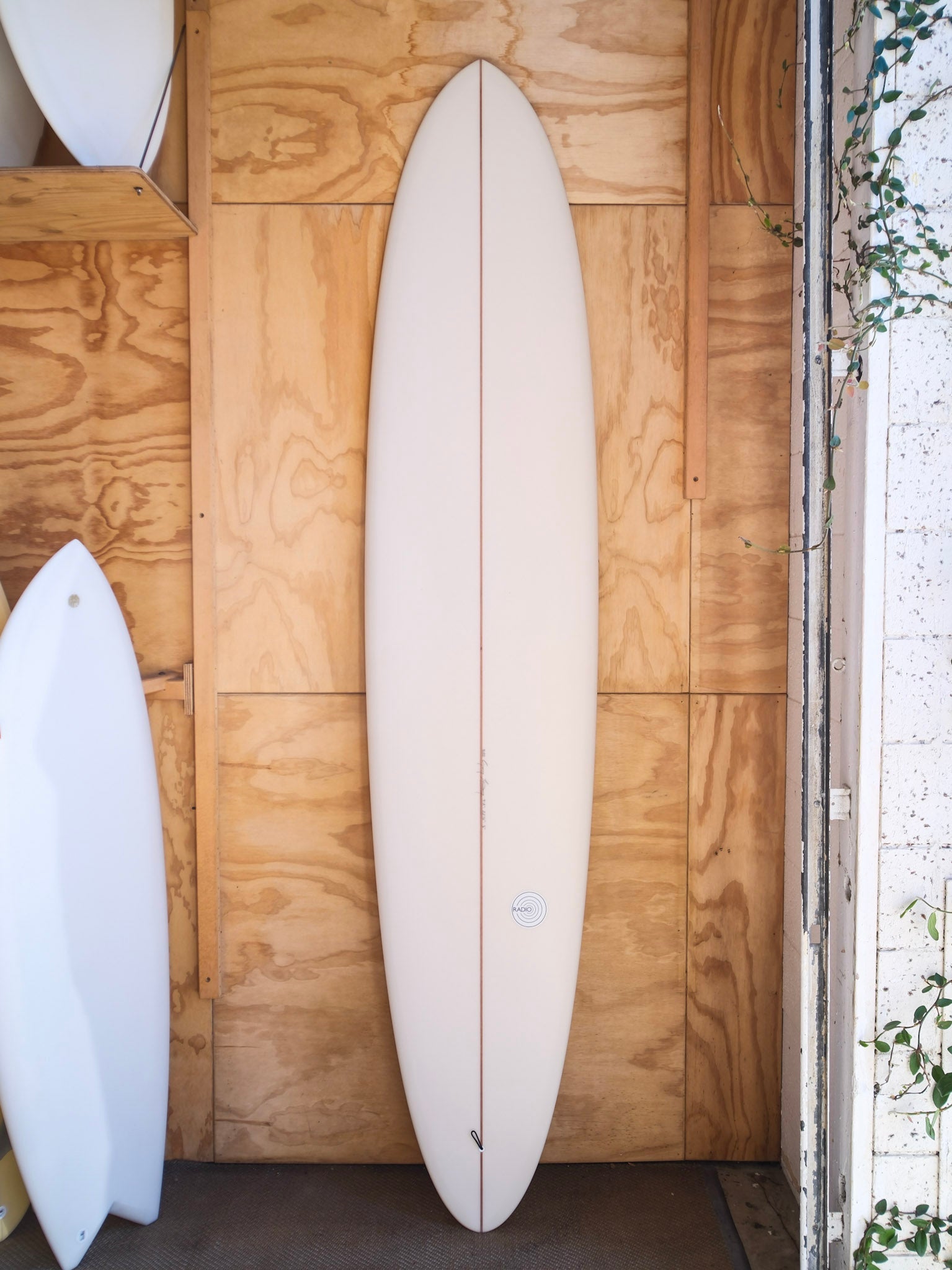 9'2 Radio Power Glider - Mollusk Surf Shop