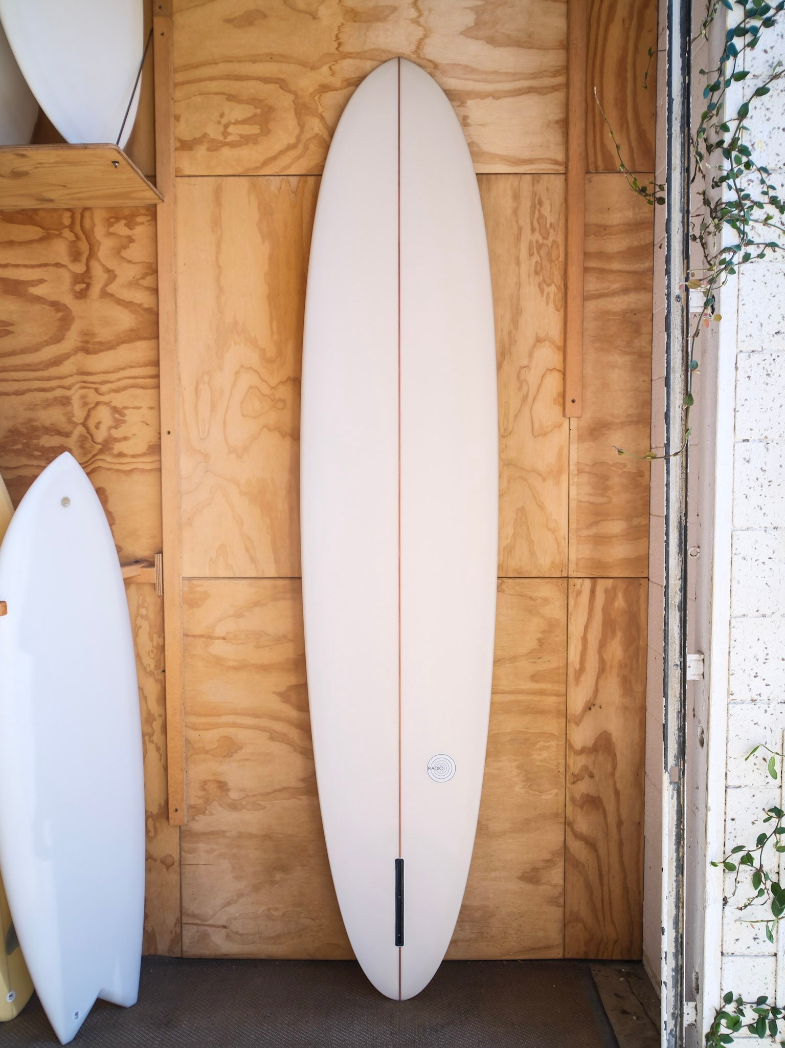 9'2 Radio Power Glider - Mollusk Surf Shop