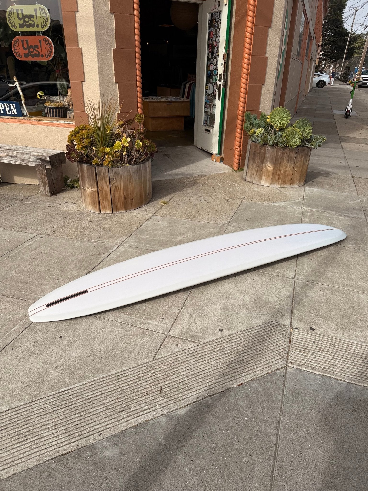 9'4 Elmore Sam's Club - Mollusk Surf Shop
