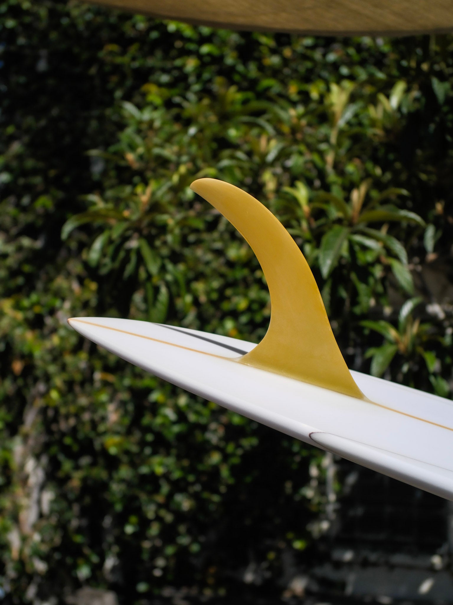 9'4 Jeff Svoboda Billy Jean - Mollusk Surf Shop