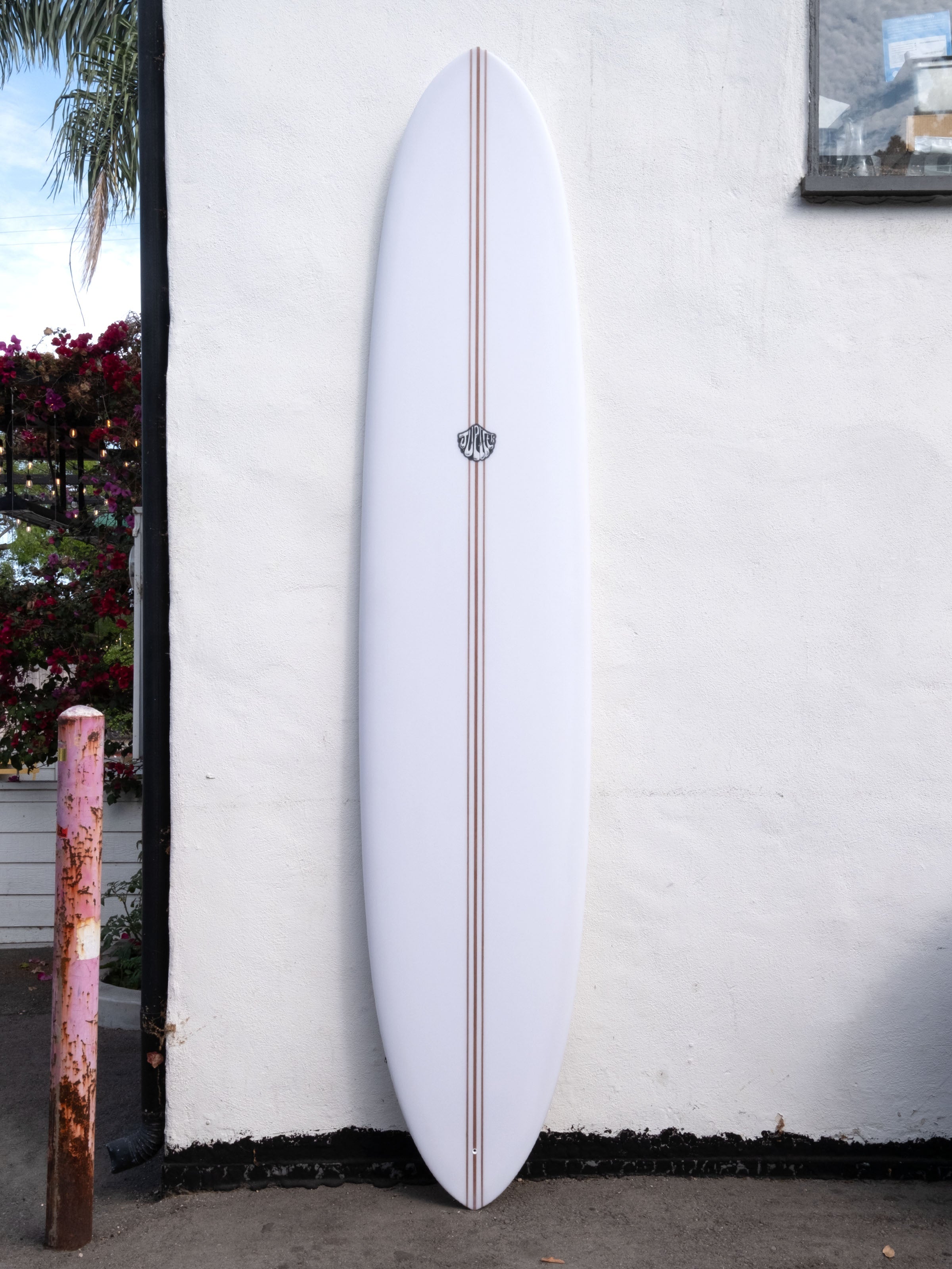 9'4 Jupiter Piggy Pintail Noserider - Mollusk Surf Shop 