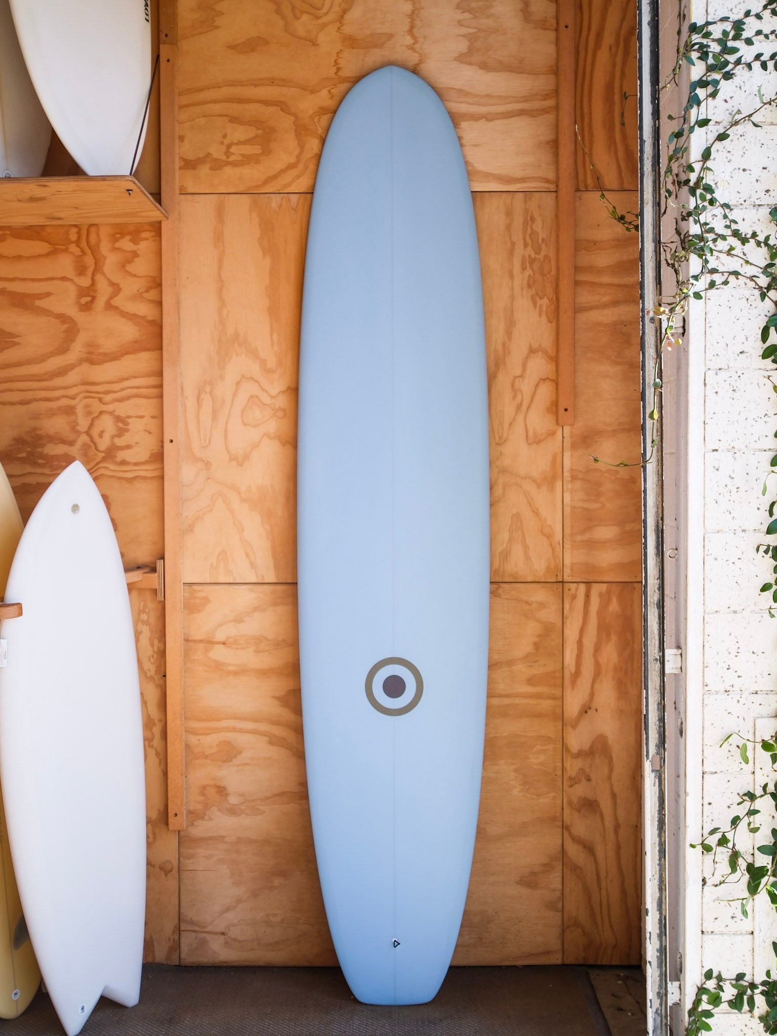 9'4 MPE Ruler - Mollusk Surf Shop