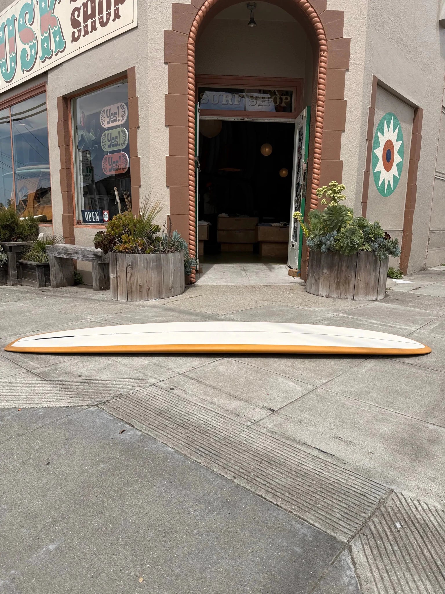 9'4 MPE Ruler - Mollusk Surf Shop