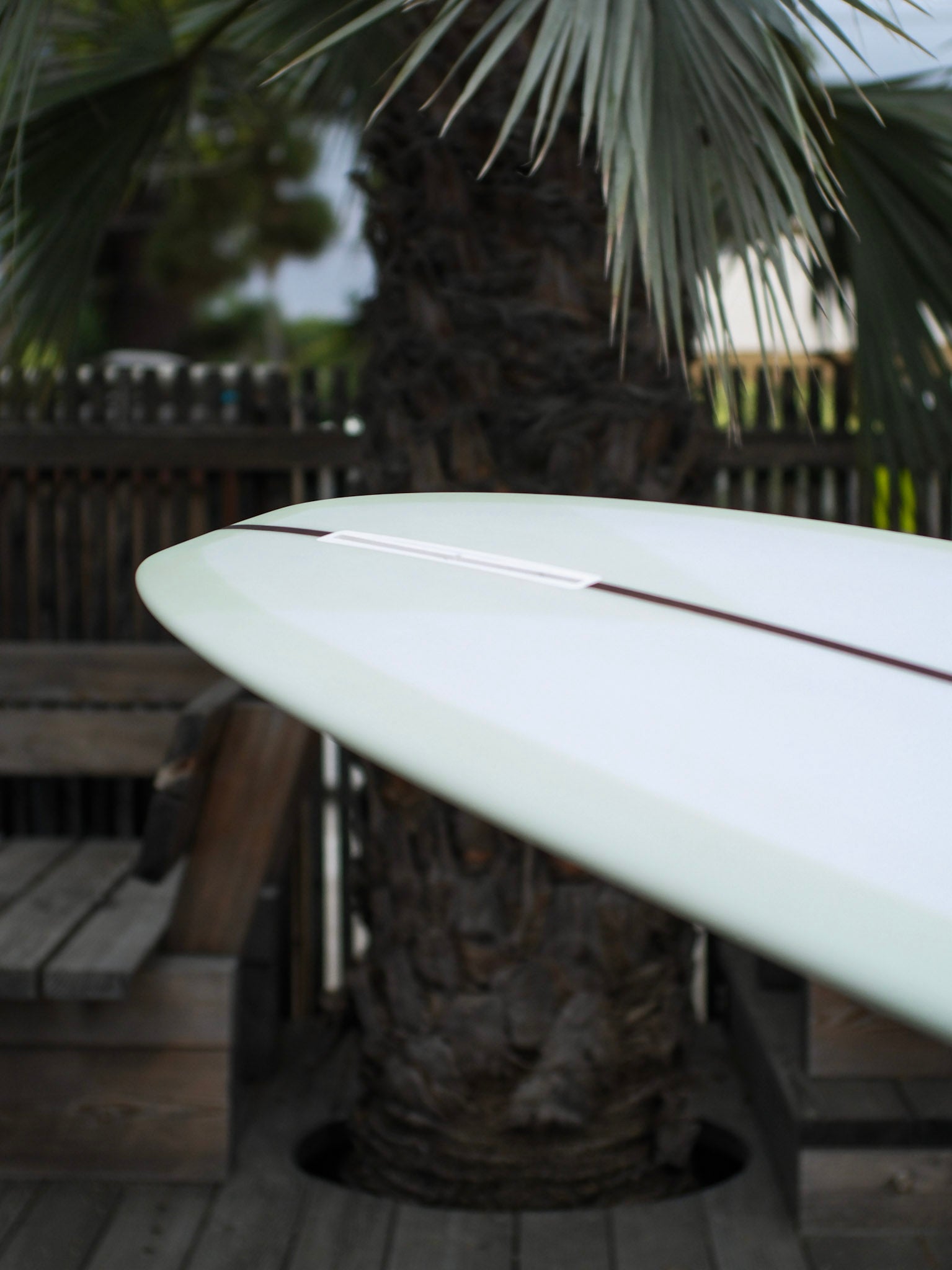 9'4 Yee Shapes Glider Log - Mollusk Surf Shop - description