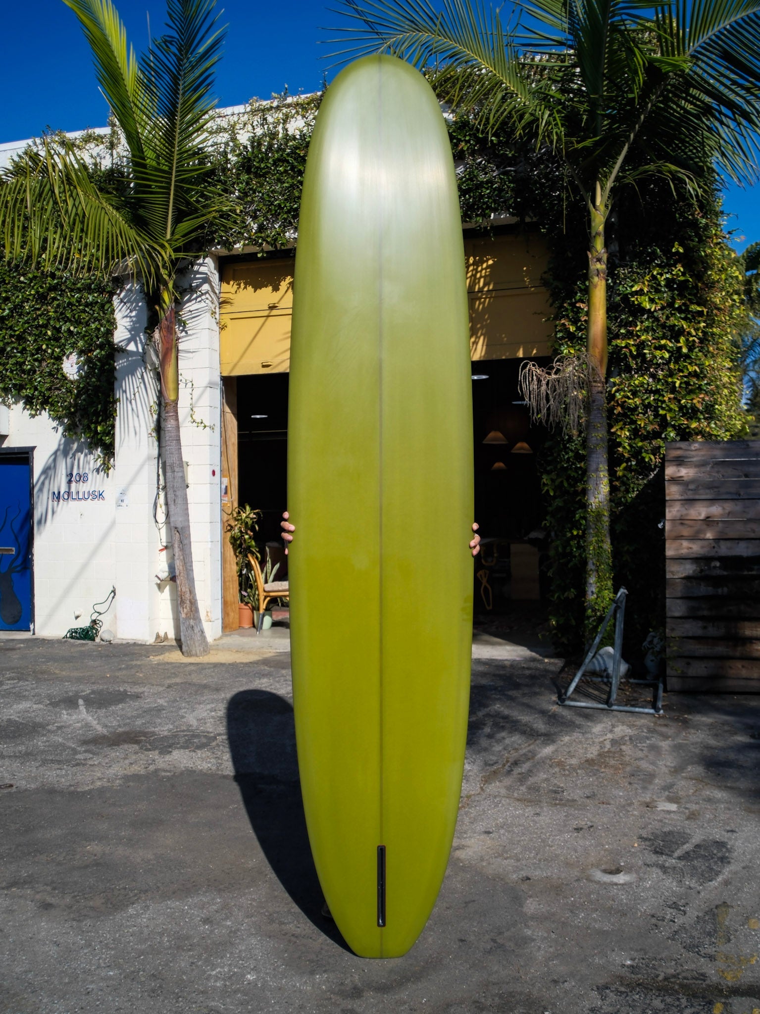 9'6 Elmore Sams Club - Mollusk Surf Shop