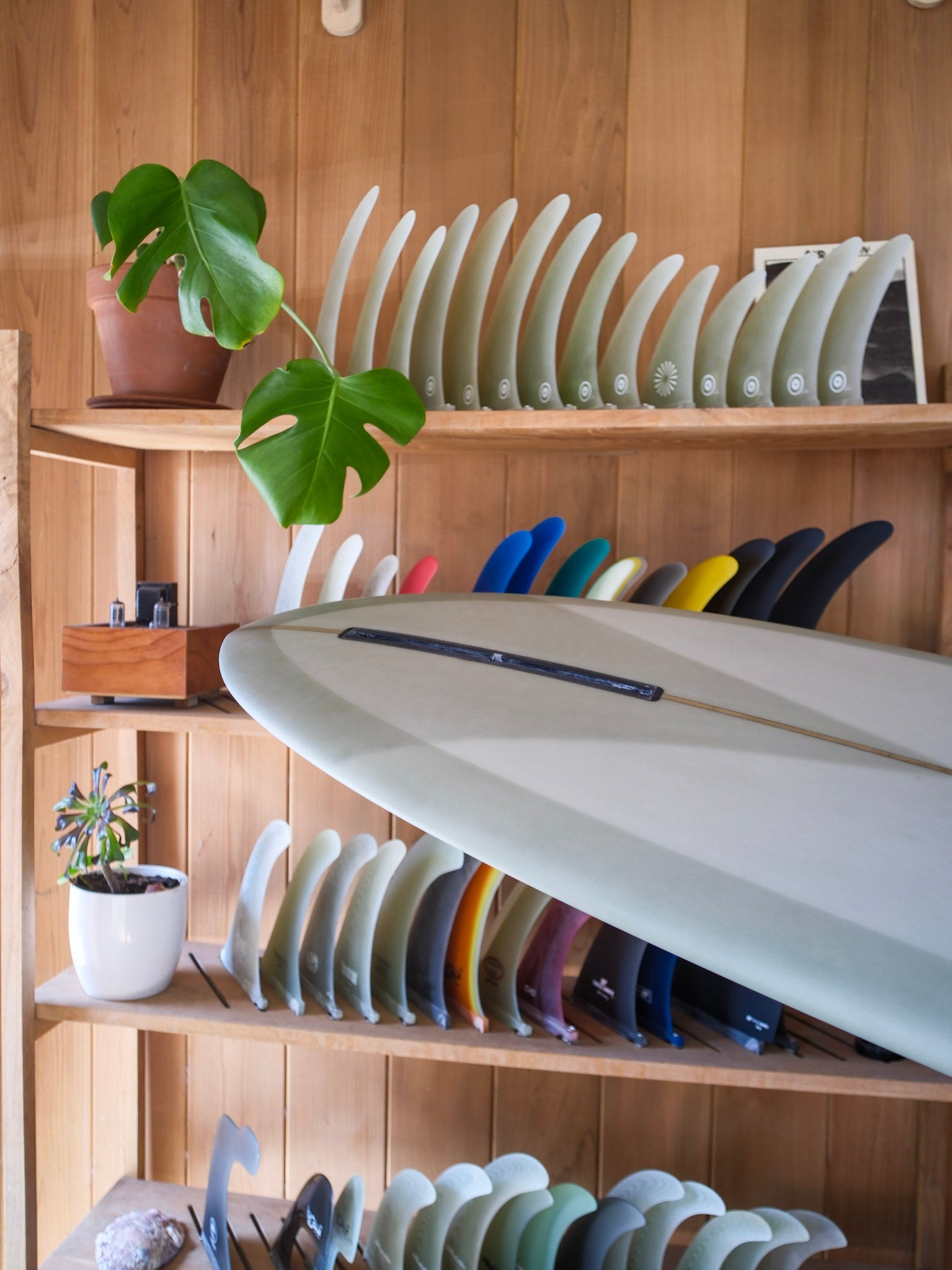 9'6 Jupiter Hipped Pintail Noserider - Mollusk Surf Shop - description