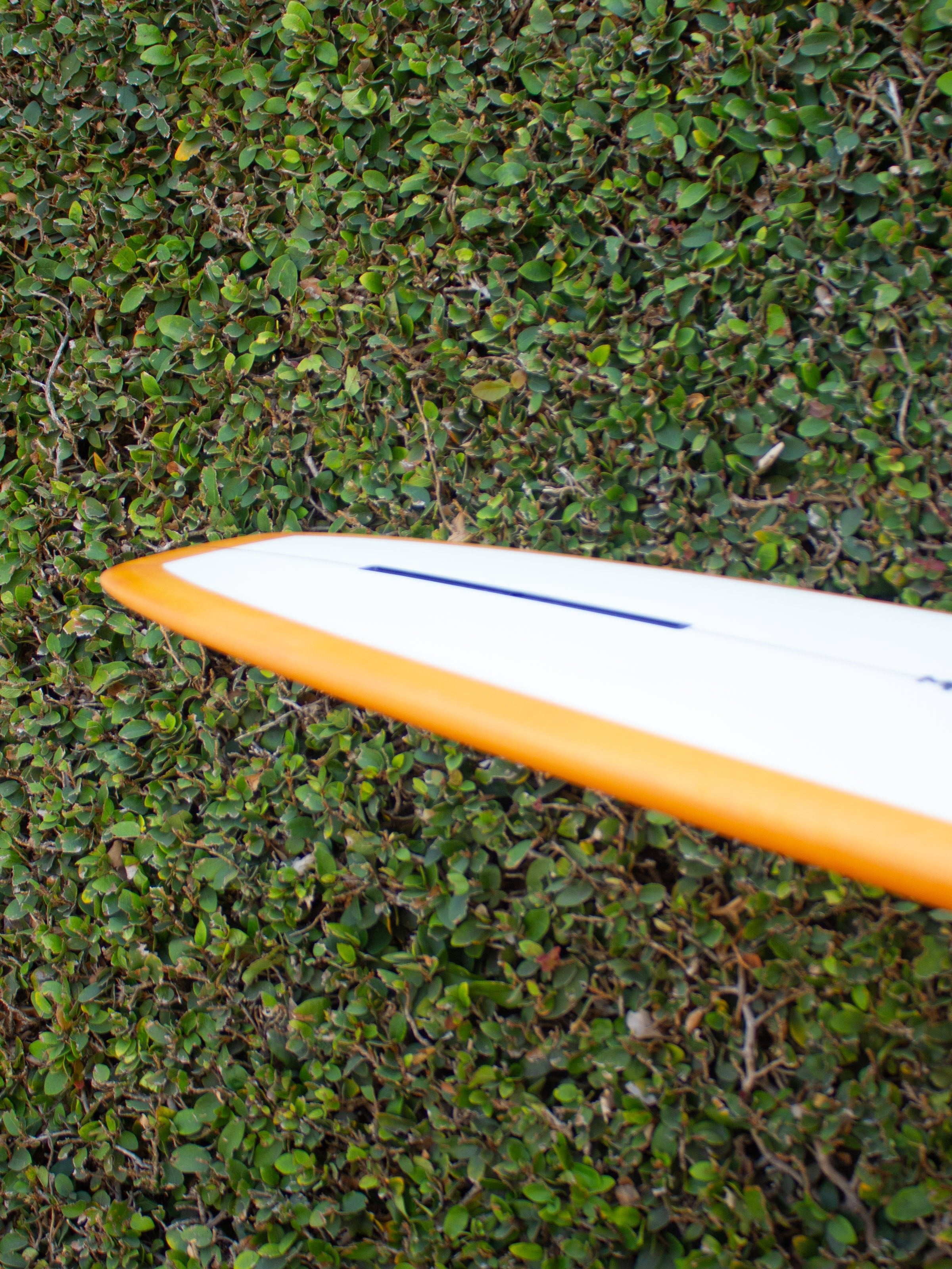 9'6 MPE Ruler - Mollusk Surf Shop - description