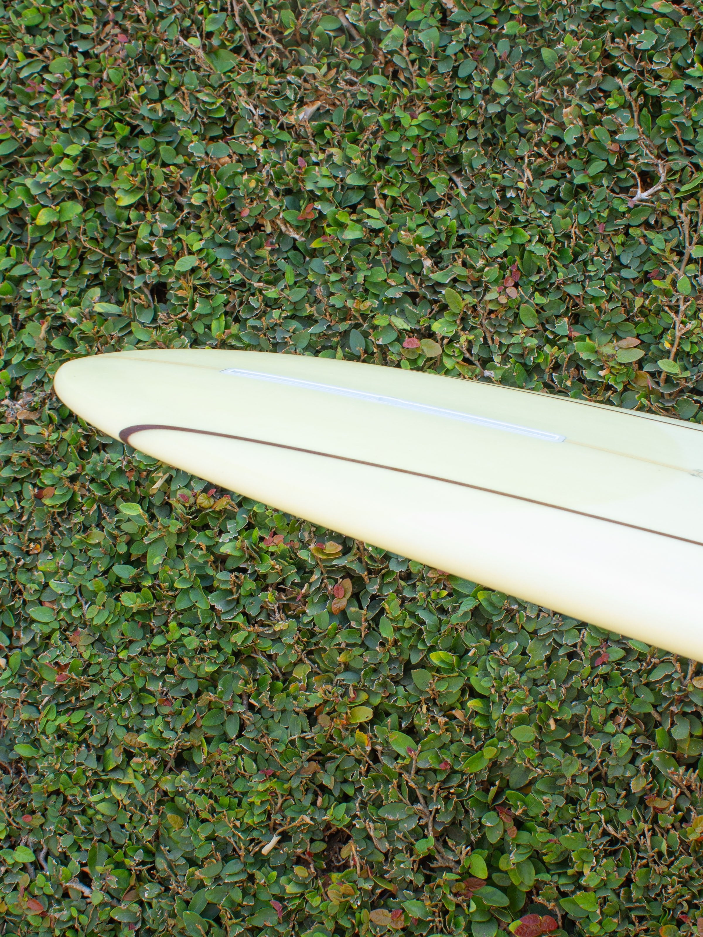 9'6 Passes Soapbox Derby - Mollusk Surf Shop - description