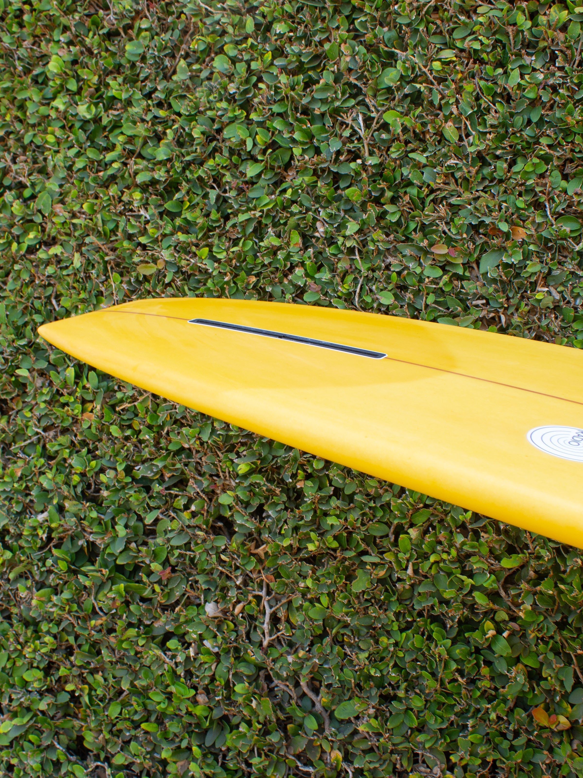9'6 Radio Noserider - Mollusk Surf Shop - description