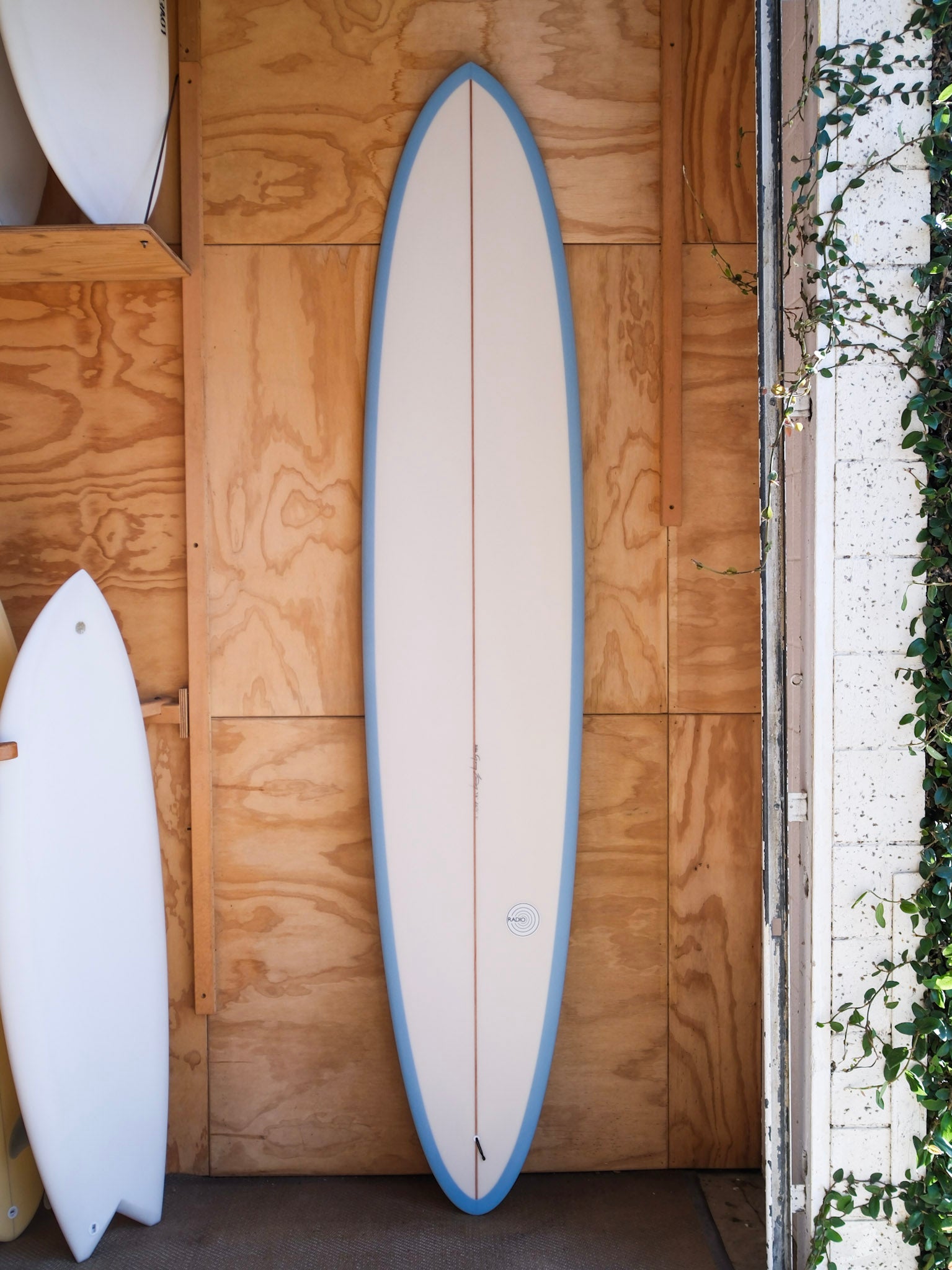 9'6 Radio Power Glider - Mollusk Surf Shop